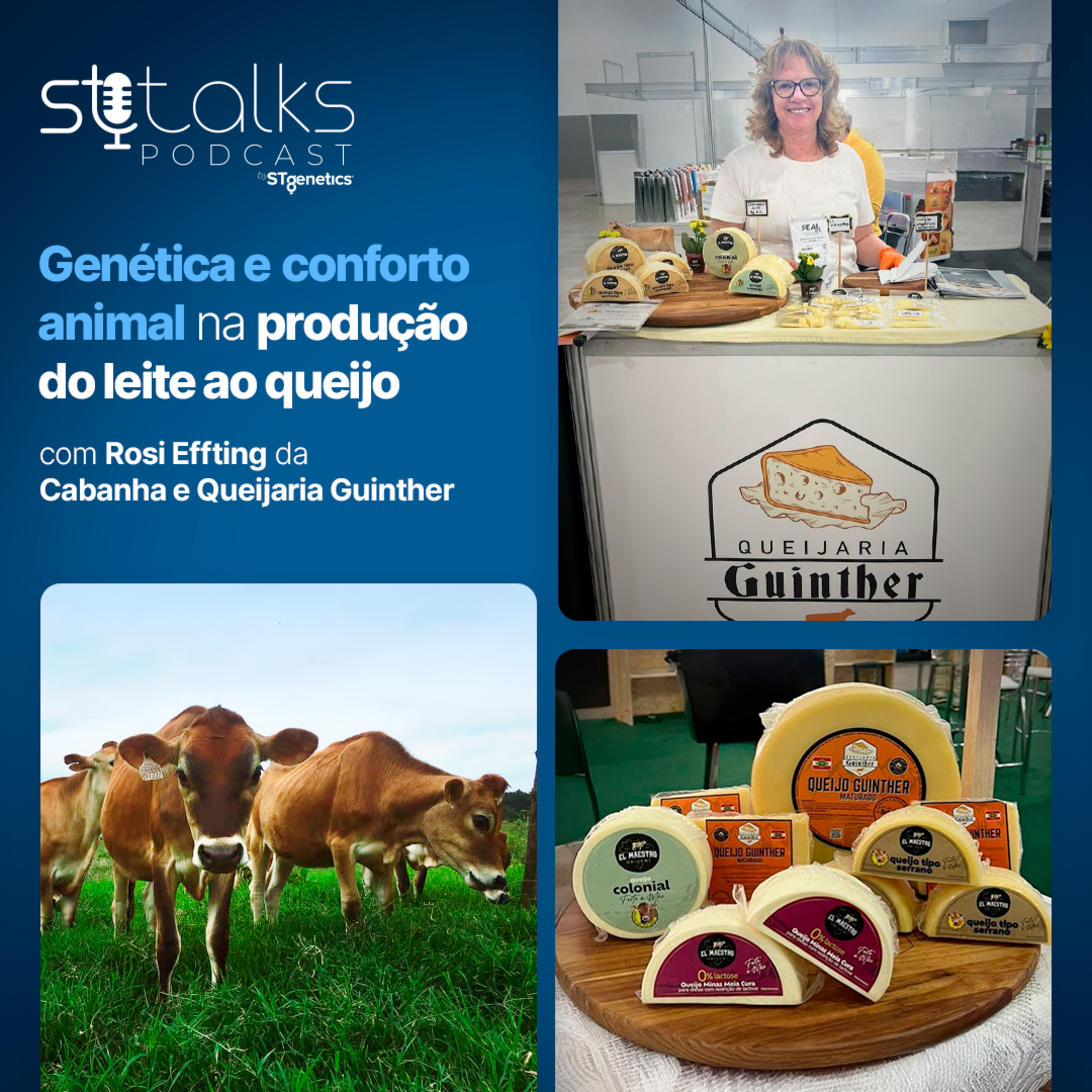 STtalks #235 - Genética e conforto animal na produção do leite ao queijo com Rosi Effting da Cabanha e Queijaria Guinther episode artwork