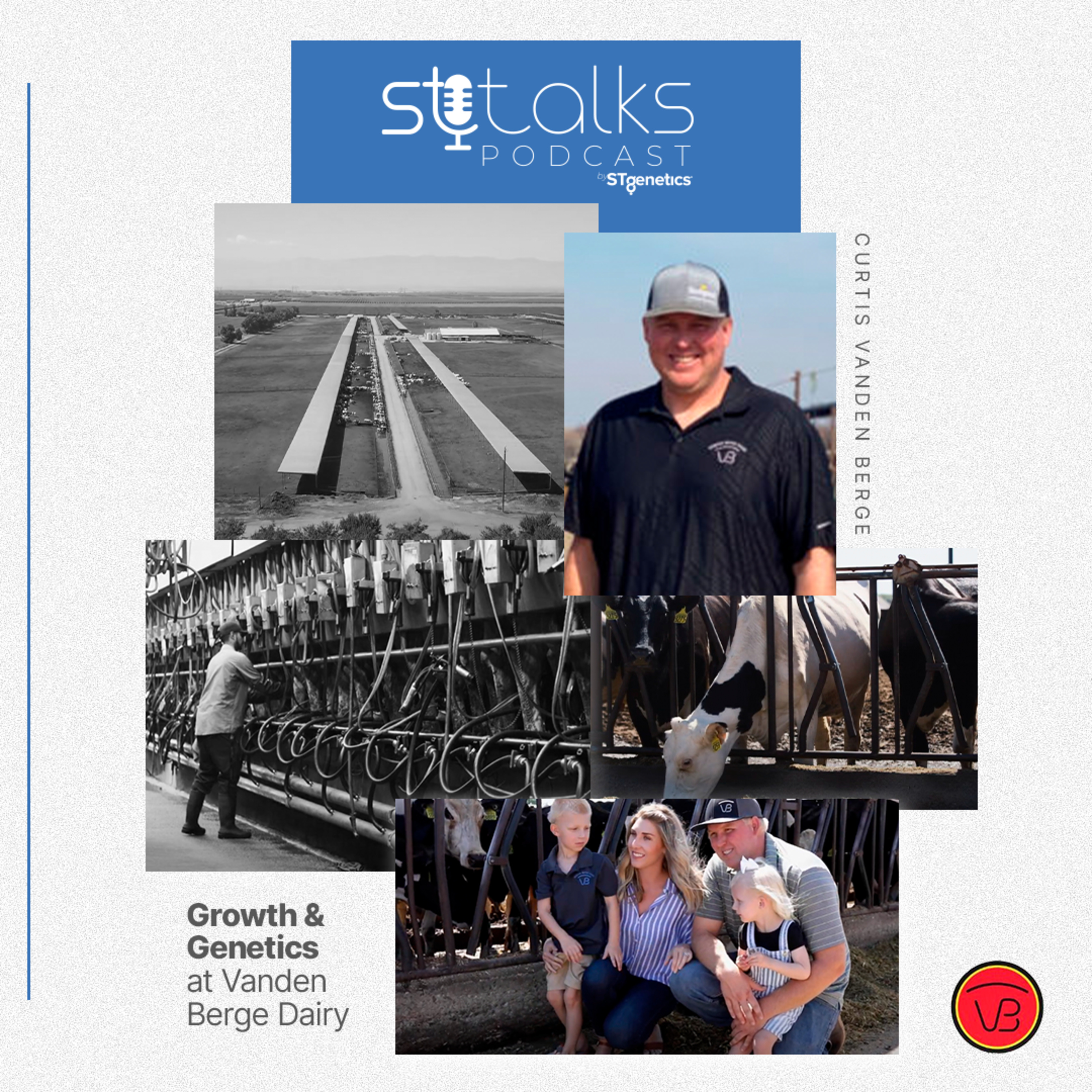 STtalks #242 - Growth & Genetics at Vanden Berge Dairy with Curtis Vanden Berge episode artwork