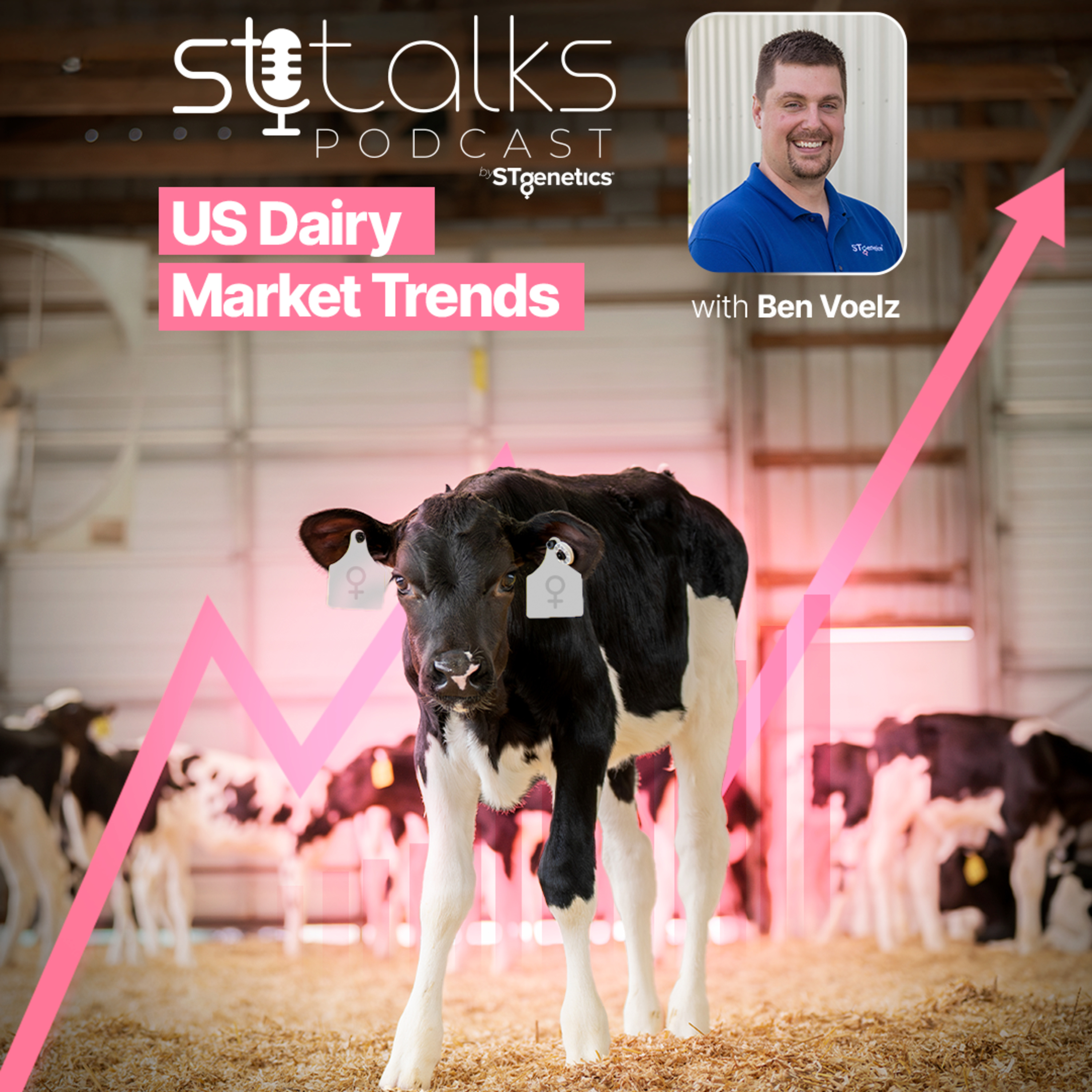 STtalks #246 - U.S. Dairy Market Trends with Ben Voelz episode artwork