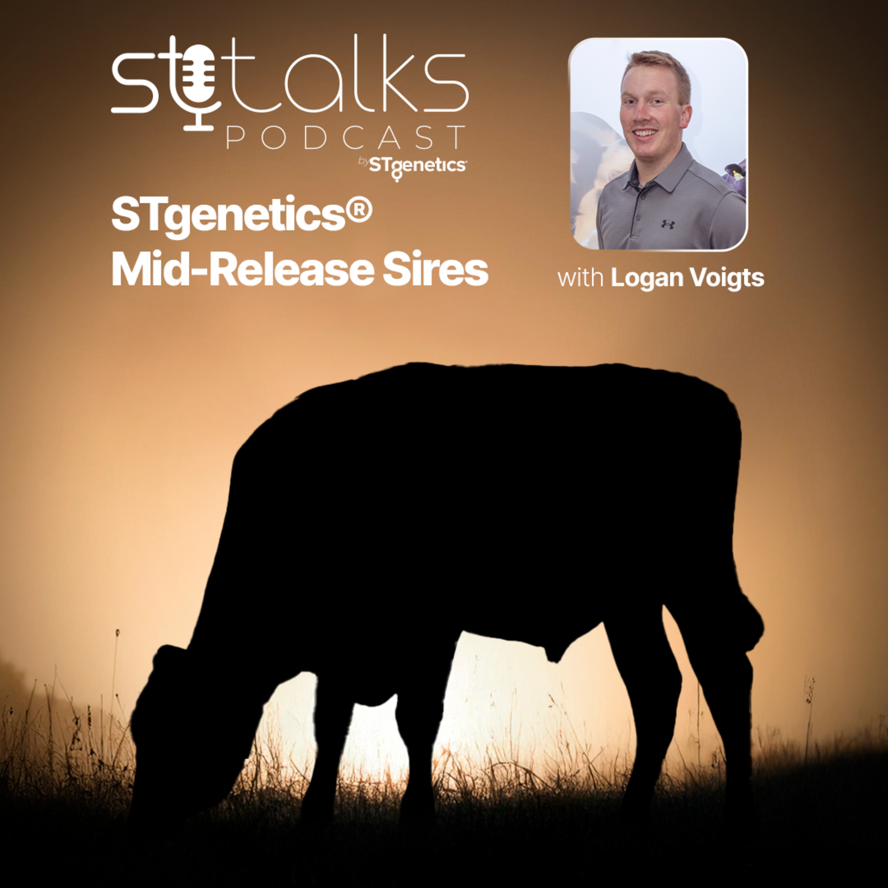 STtalks