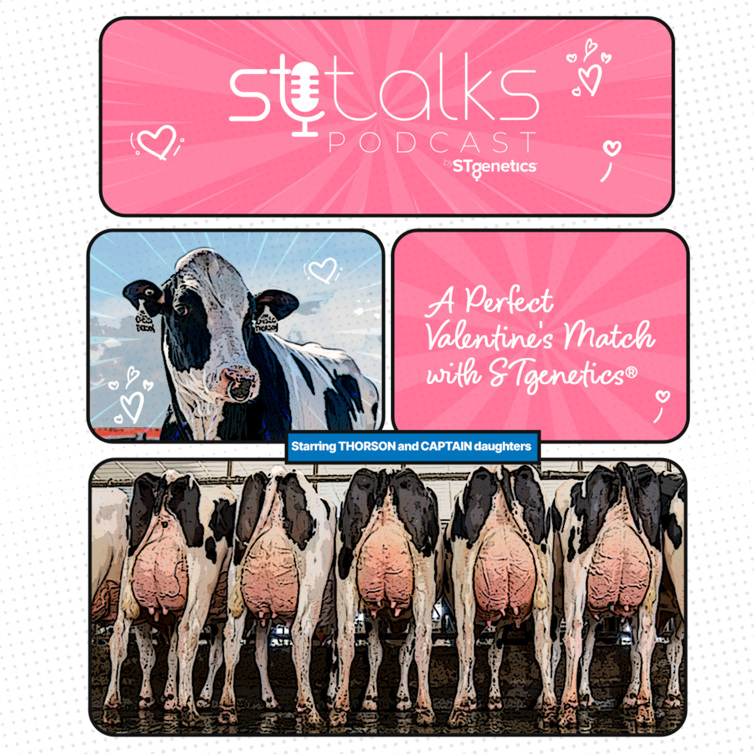 STtalks