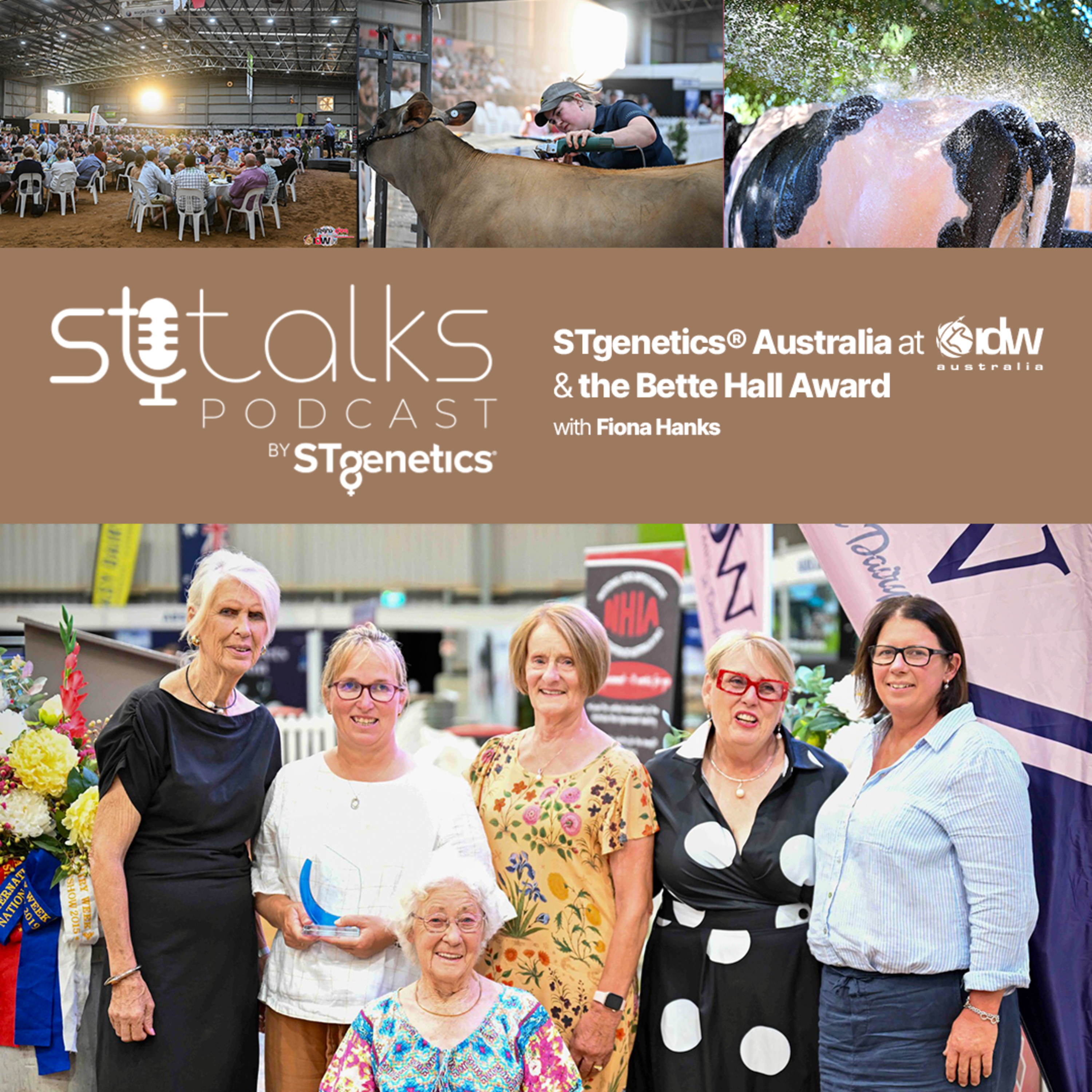 STtalks