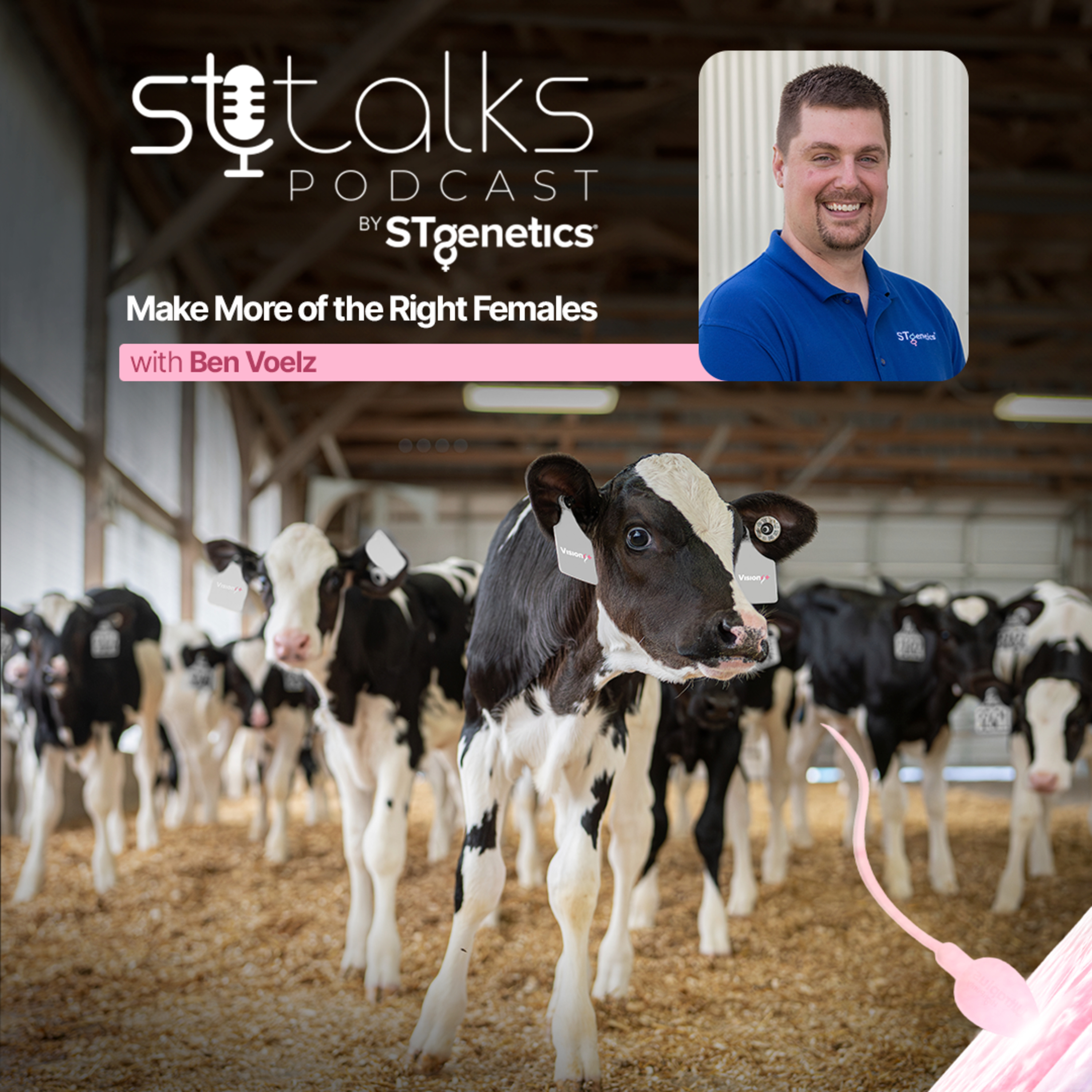 STtalks #273 - Make More of the Right Females with Ben Voelz episode artwork
