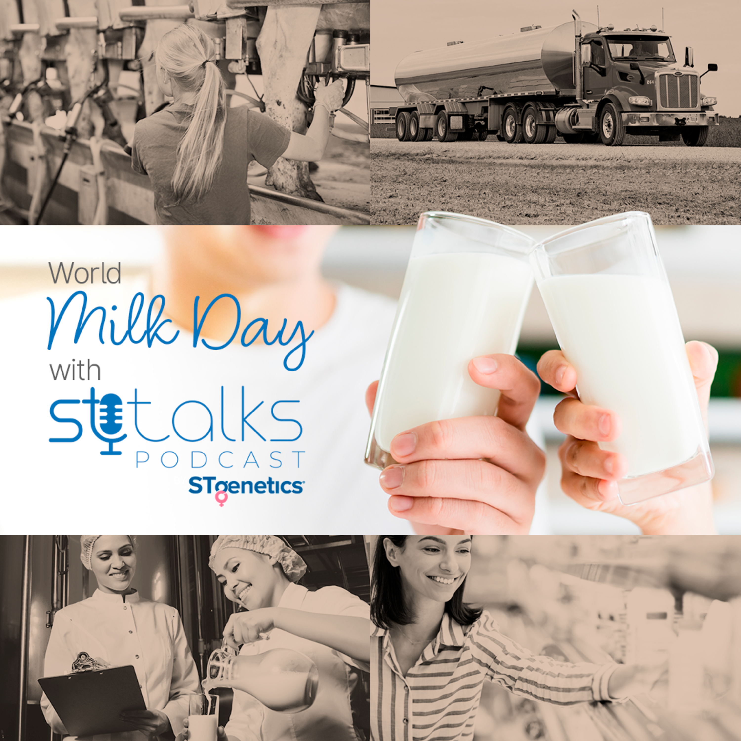 STtalks #284 - World Milk Day episode artwork
