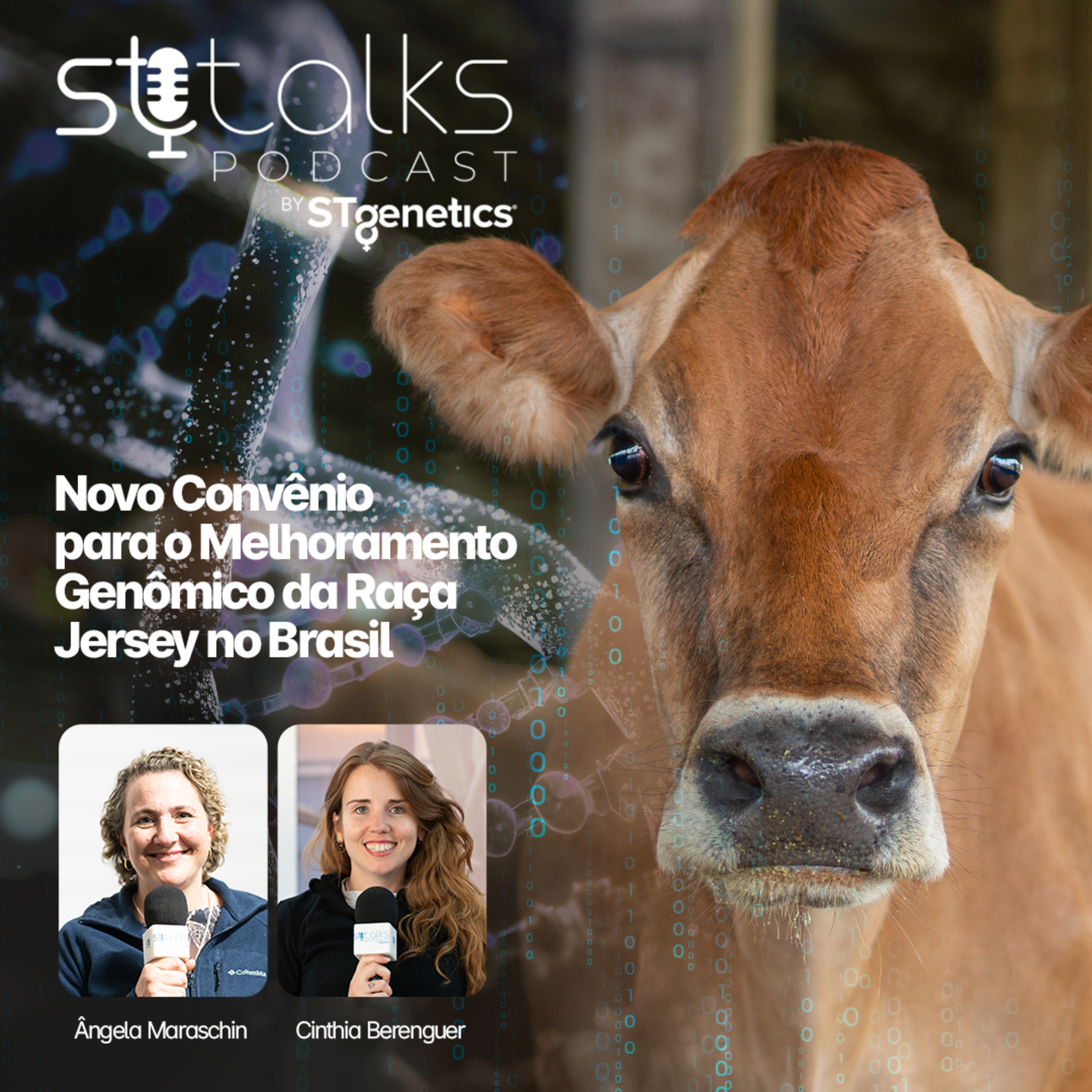 STtalks #304 - Novo Convênio para o Melhoramento Genômico da Raça Jersey no Brasil com Ângela Maraschin e Cinthia Berenguer  episode artwork
