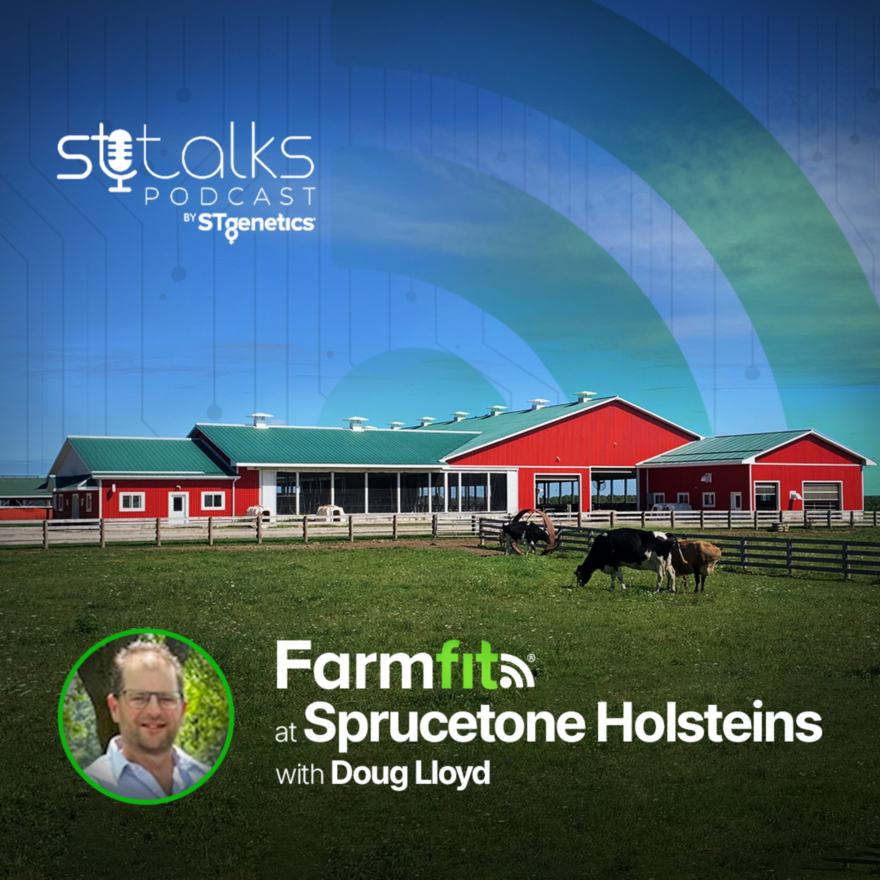 STtalks #312 - Farmfit® at Sprucetone Holsteins with Doug Lloyd