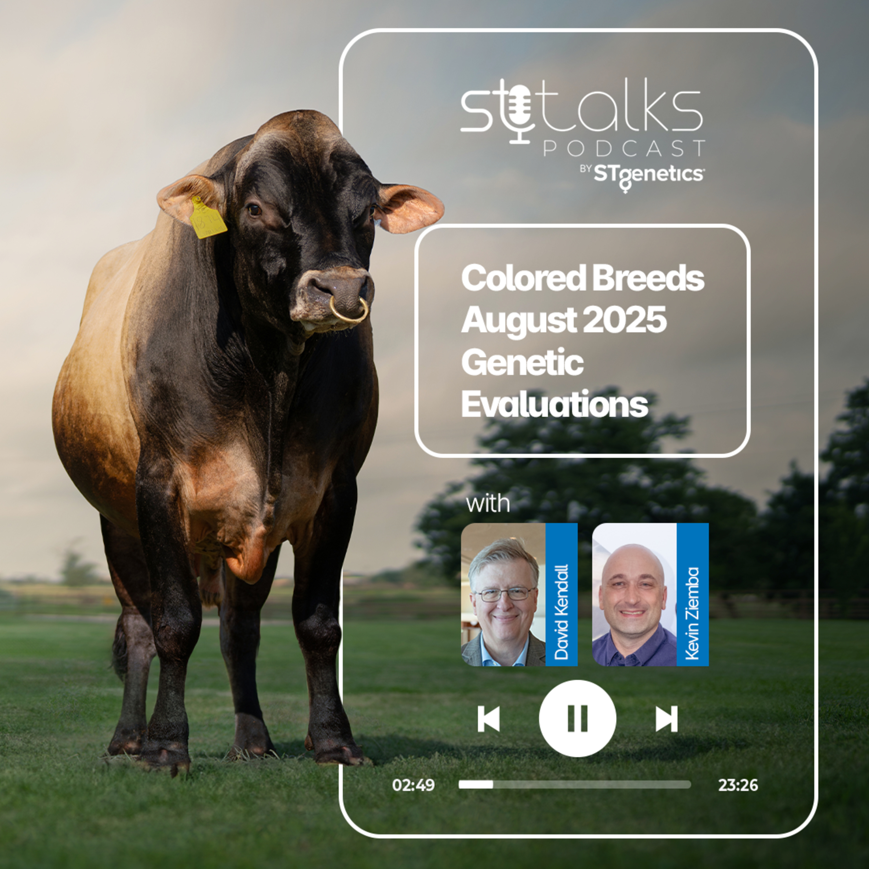 STtalks #314 - Colored Breeds August 2025 Genetic Evaluations with Kevin Ziemba and David Kendall