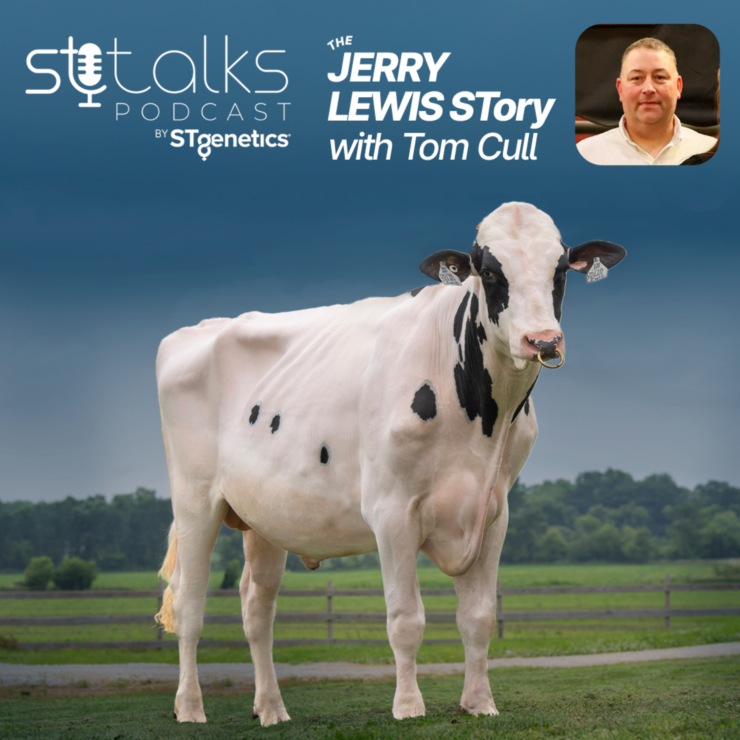 STtalks #320 - The JERRY LEWIS STory with Tom Cull