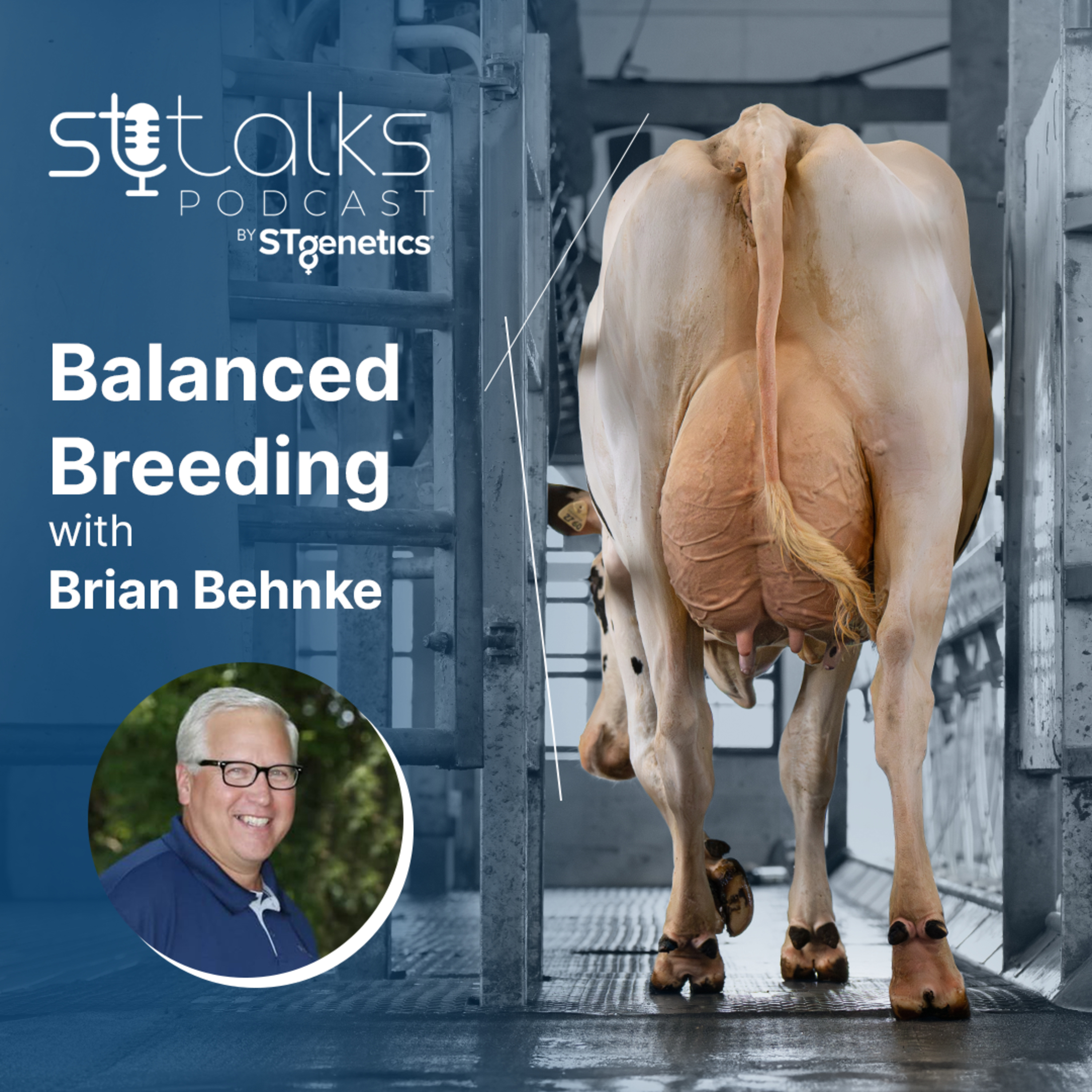 STtalks #323 - Balanced Breeding with Brian Behnke