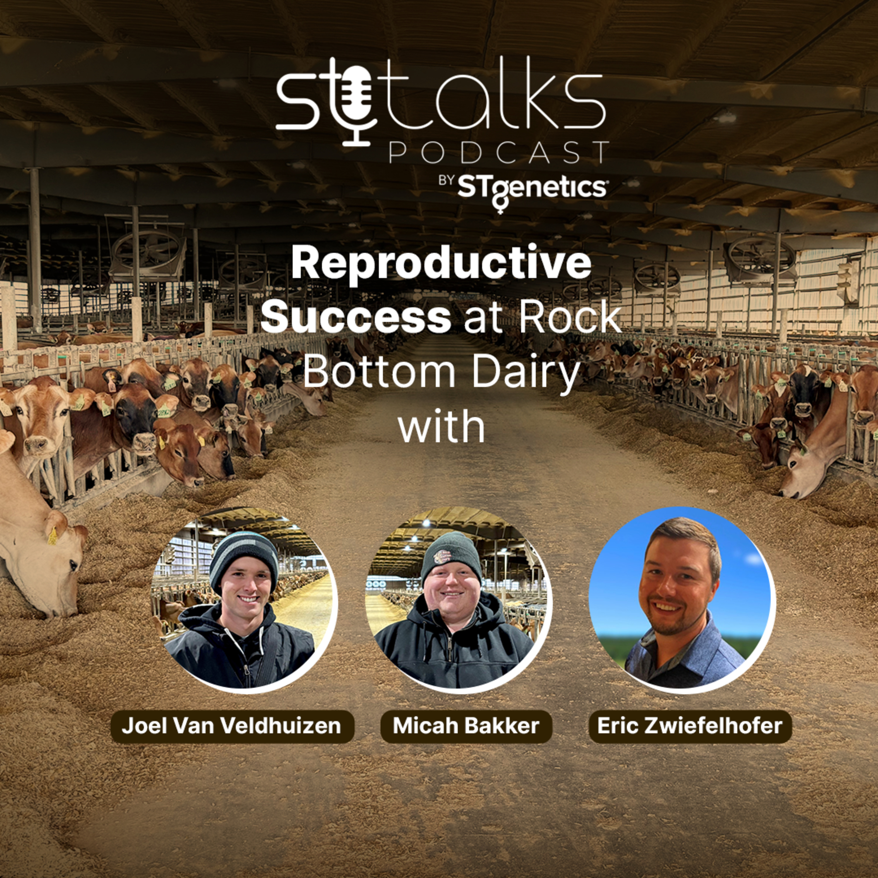 STtalks #349 - Reproductive Success at Rock Bottom Dairy with Micah Bakker, Joel Van Veldhuizen and Eric Zwiefelhofer episode artwork