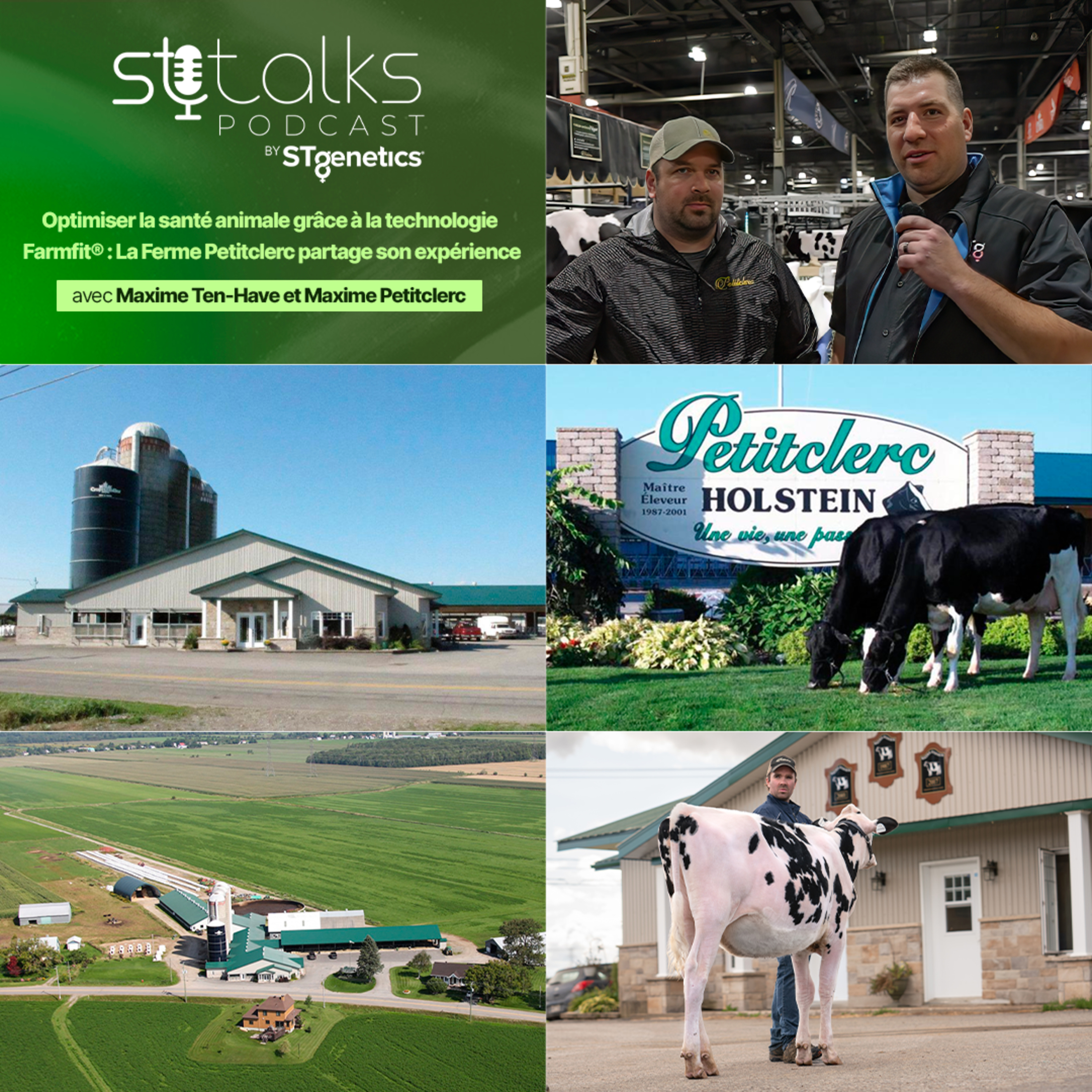 STtalks #355 - Optimiser la santé animale grâce a la technologie Farmfit®: La Ferme Petitclerc partage son expérience avec Maxime Ten-Have et Maxime Petitclerc episode artwork