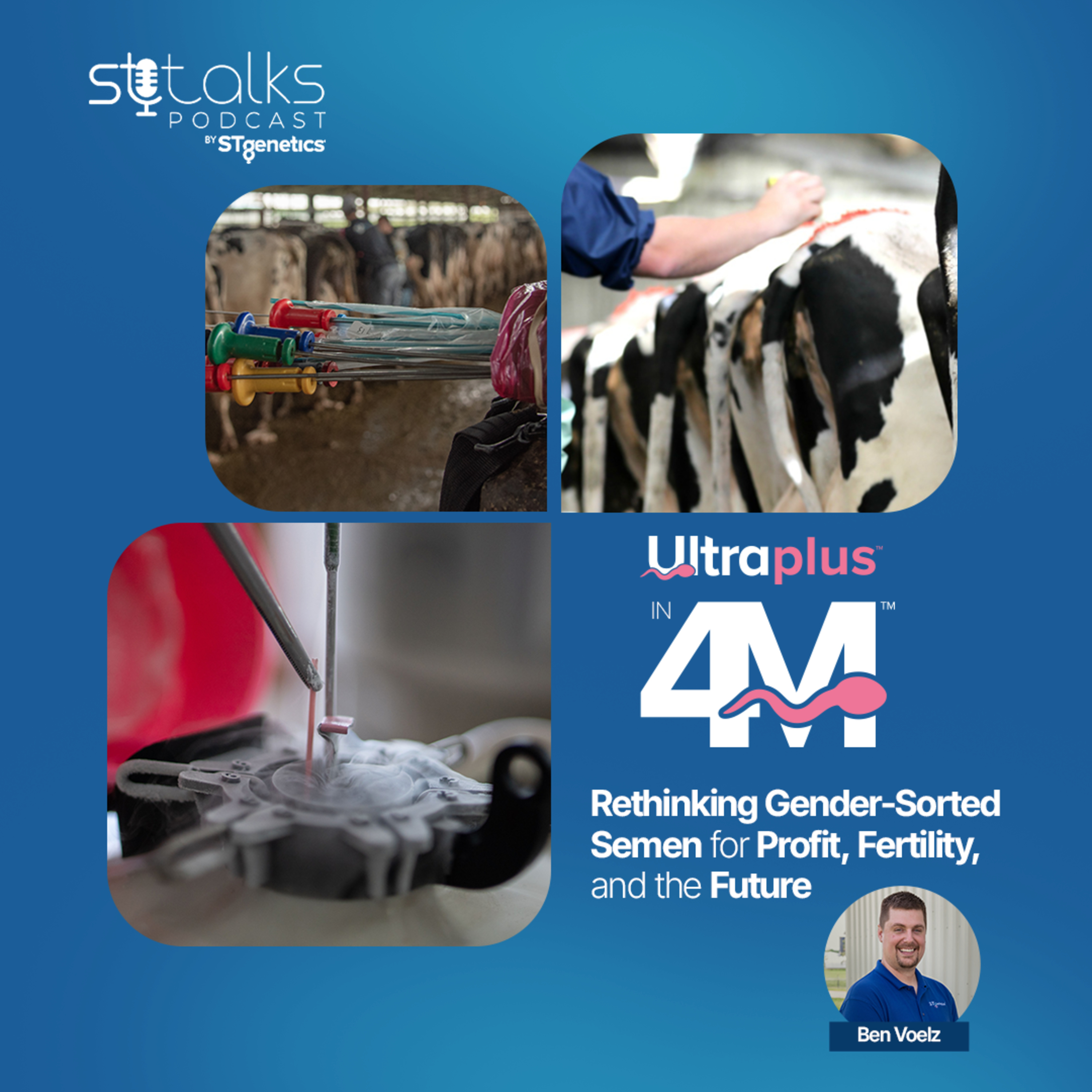 STtalks #362 - Rethinking Gender-Sorted Semen for Profit, Fertility, and the Future with Ben Voelz episode artwork