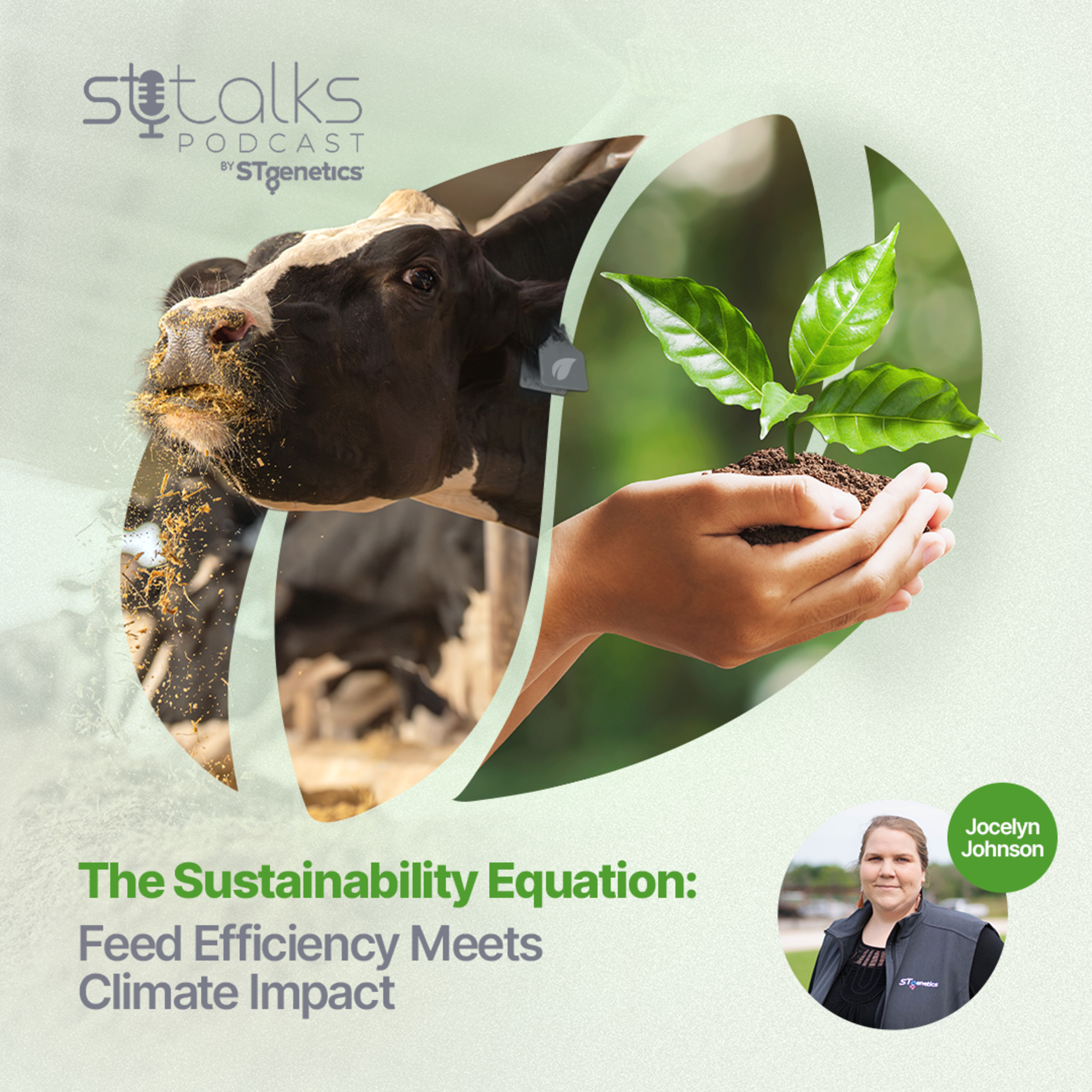 STtalks #368 - The Sustainability Equation: Feed Efficiency Meets Climate Impact with Jocelyn Johnson episode artwork
