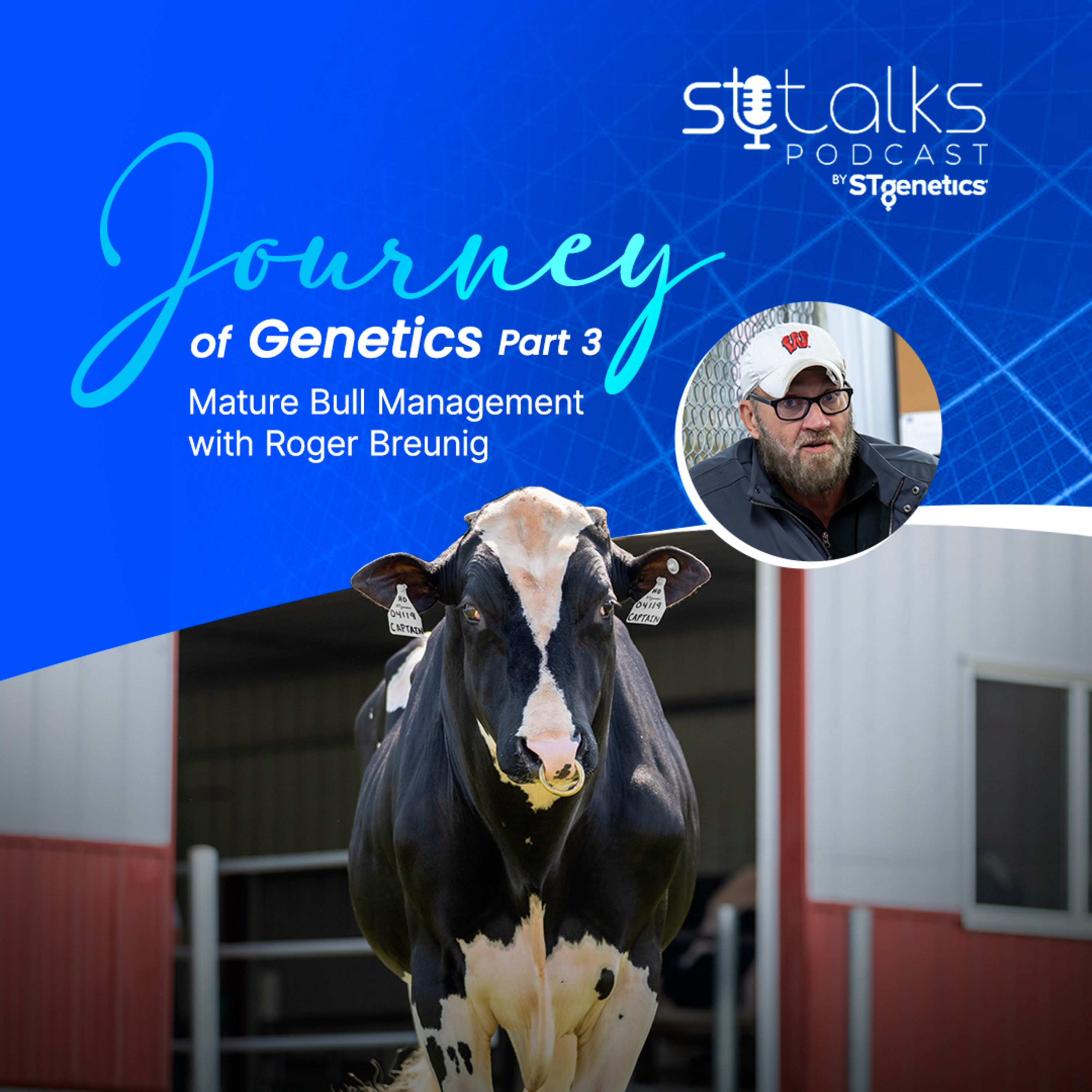 STtalks #373 - Journey of Genetics Part 3: Mature Bull Management with Roger Breunig episode artwork