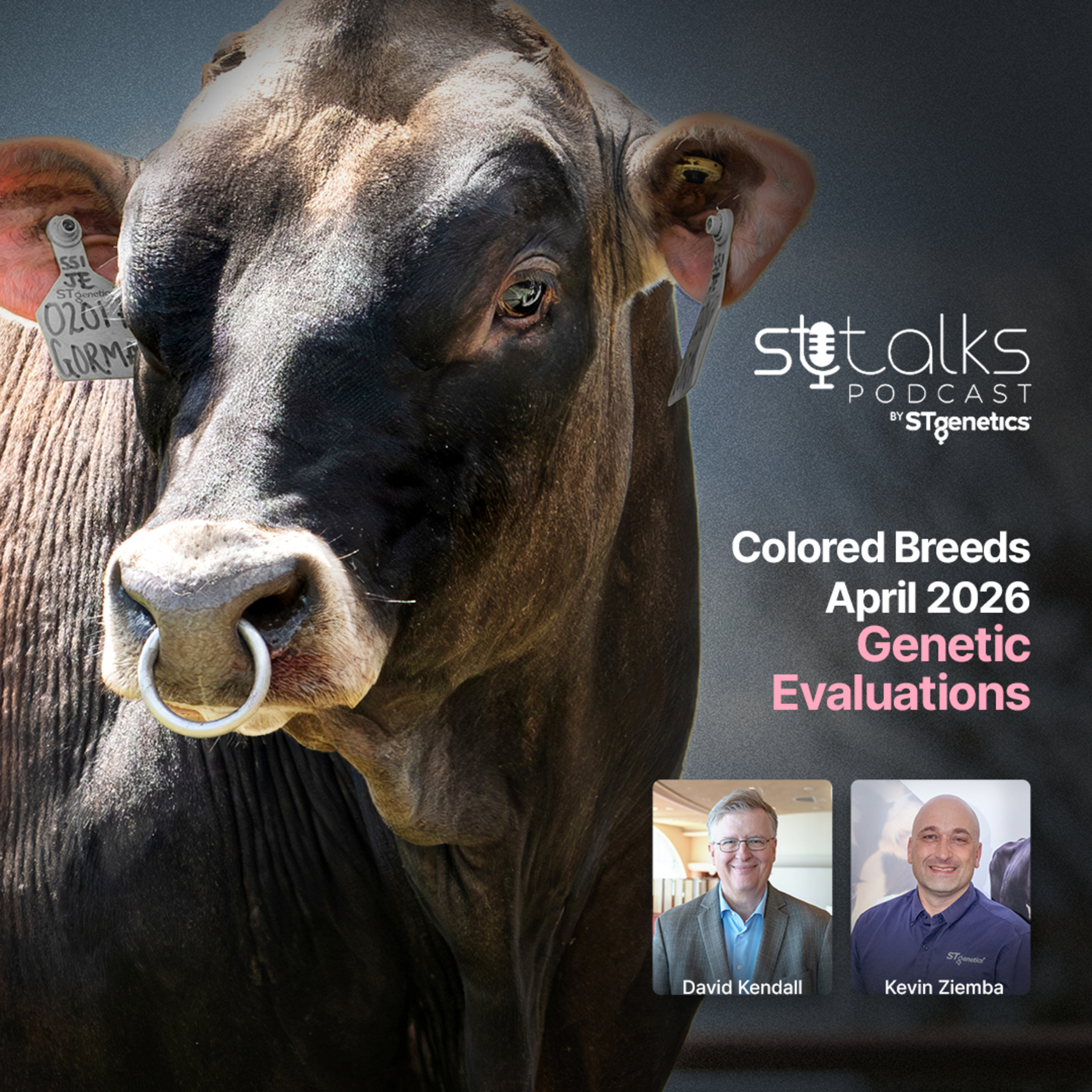 STtalks #381 - Colored Breeds April 2026 Genetic Evaluations with Kevin Ziemba and David Kendall