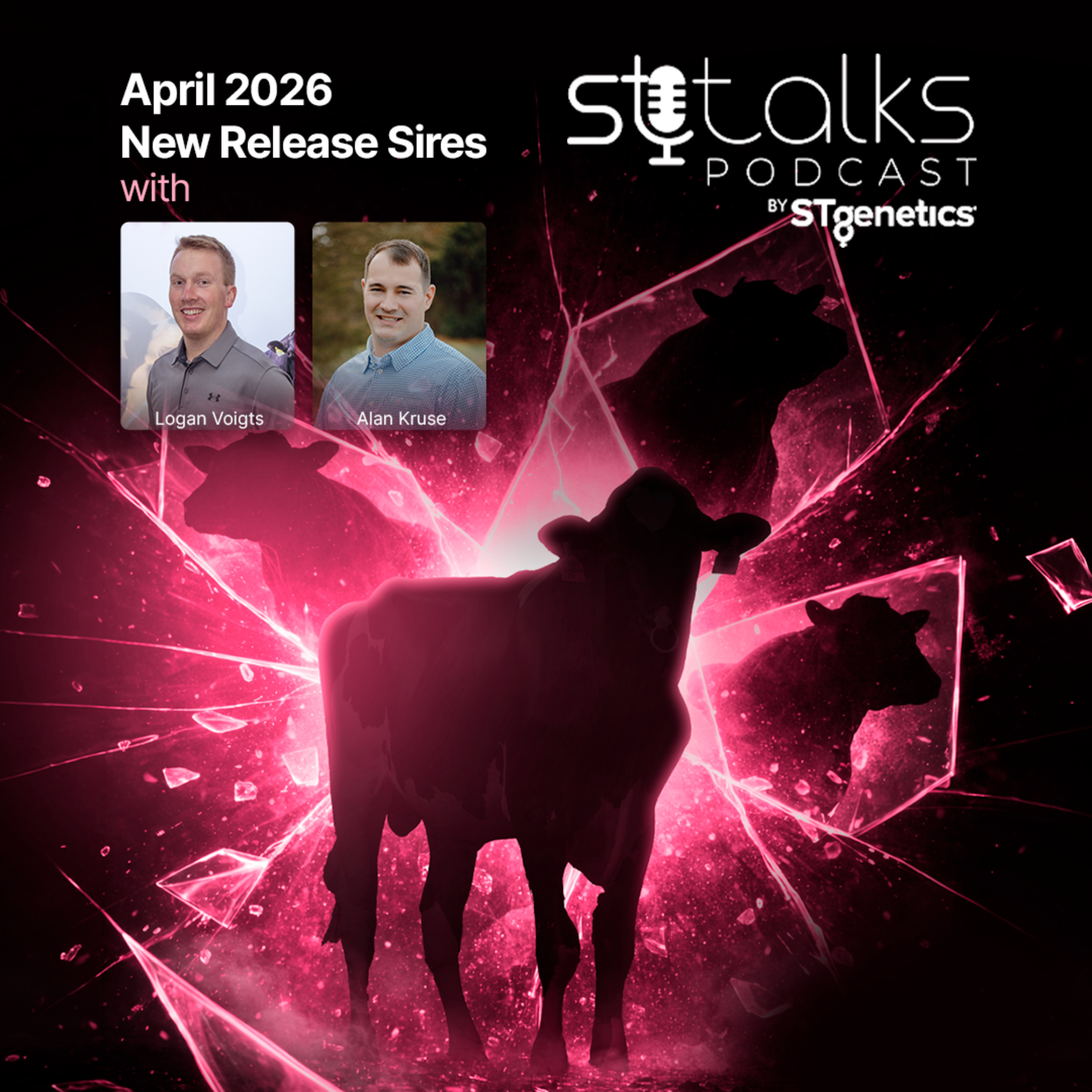 STtalks #382 - April 2026 New Release Sires with Logan Voigts & Alan Kruse episode artwork