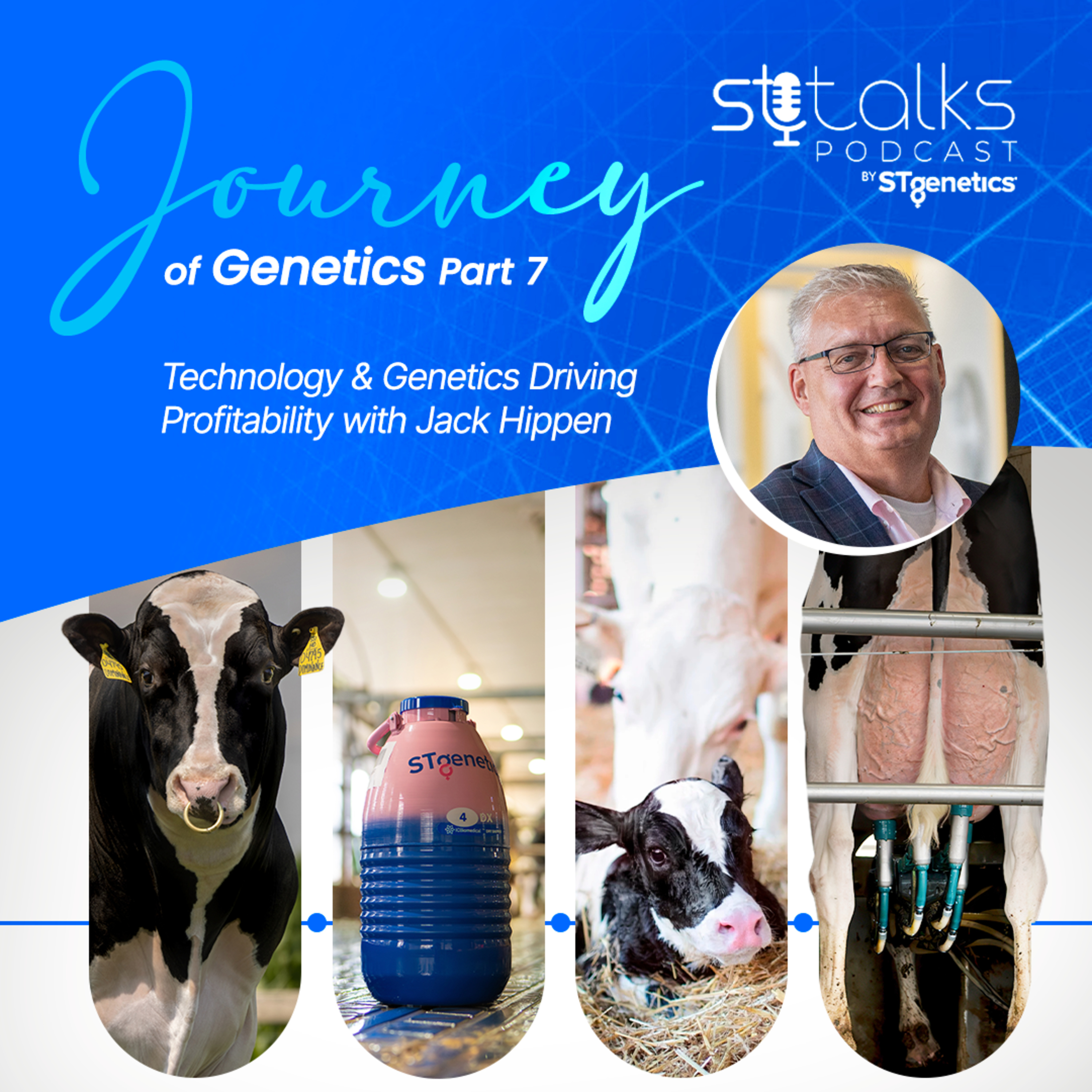 STtalks #384 - Journey of Genetics Part 7: Technology & Genetics Driving Profitability with Jack Hippen episode artwork