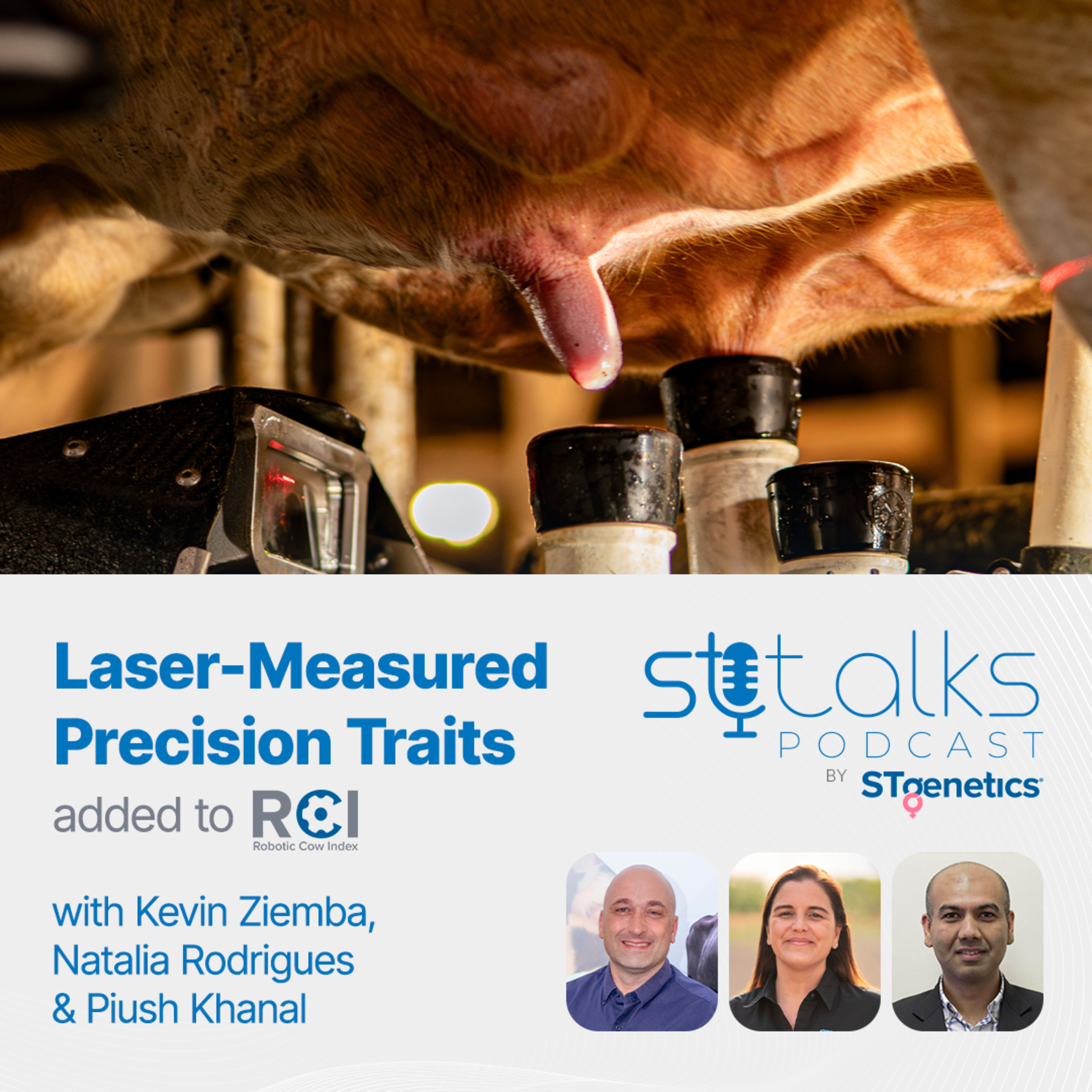STtalks #386 - Laser-Measured Precision Traits added to RCI with Kevin Ziemba, Natalia Rodrigues & Piush Khanal episode artwork