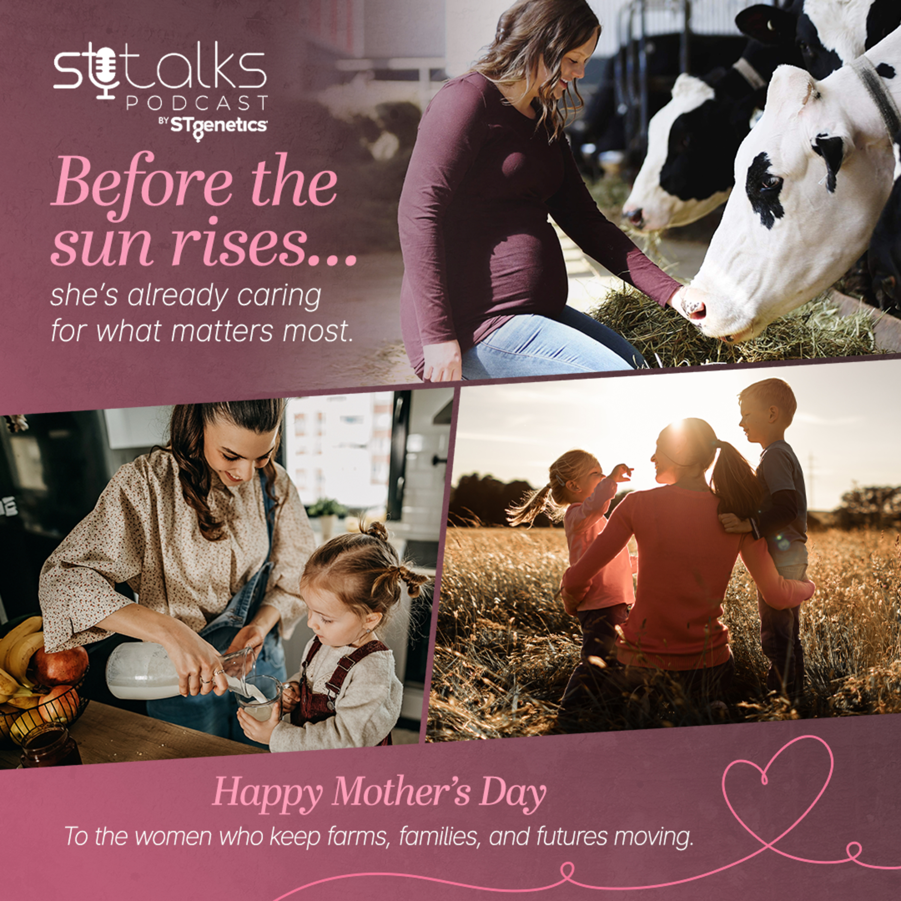 STtalks #387 - Farm Moms: The Heartbeat Of It All episode artwork