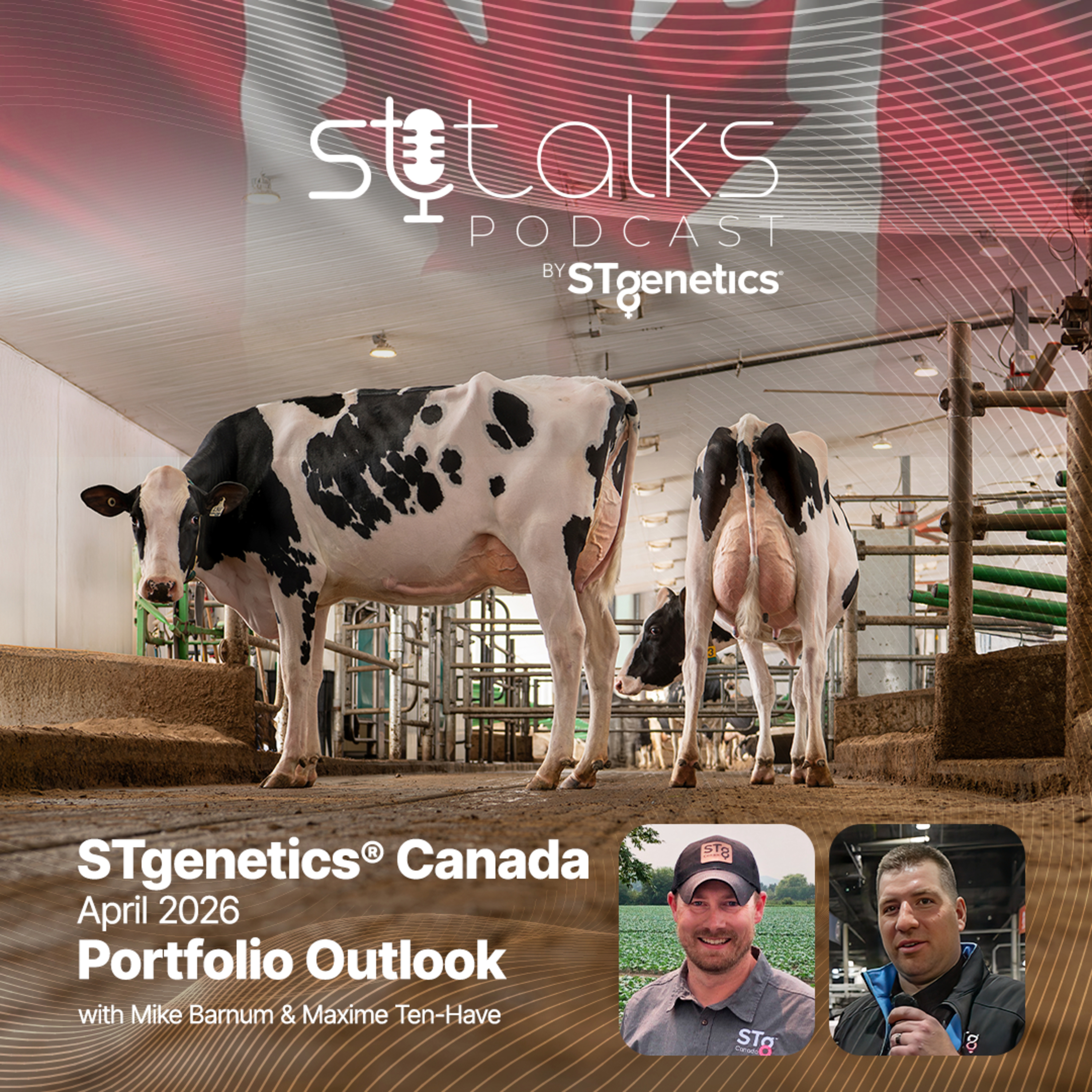 STtalks #388 - STgenetics Canada April 2026 Portfolio Outlook with Mike Barnum & Maxime Ten-Have episode artwork