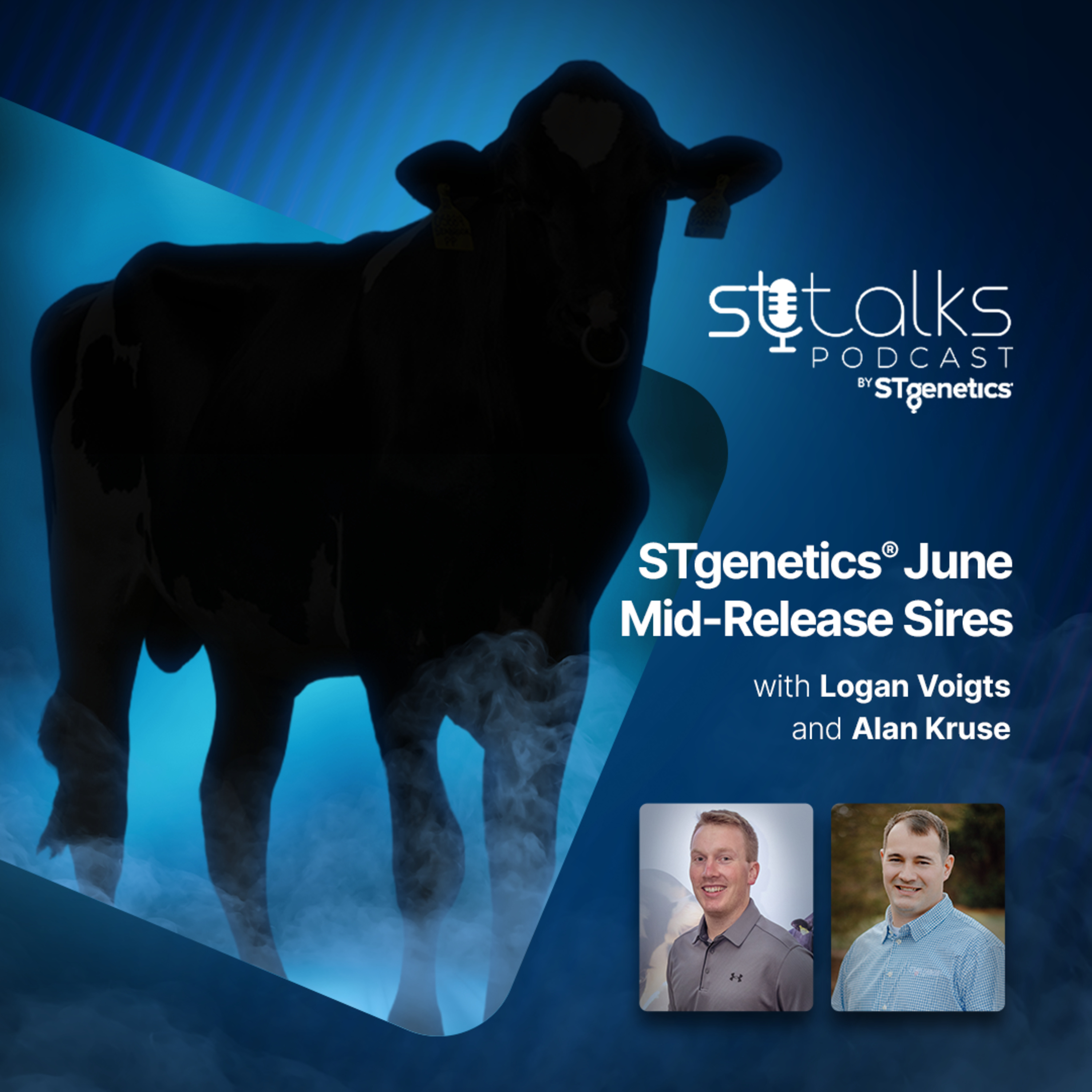 STtalks #398 - STgenetics® June Mid-Release Sires with Logan Voigts and Alan Kruse episode artwork