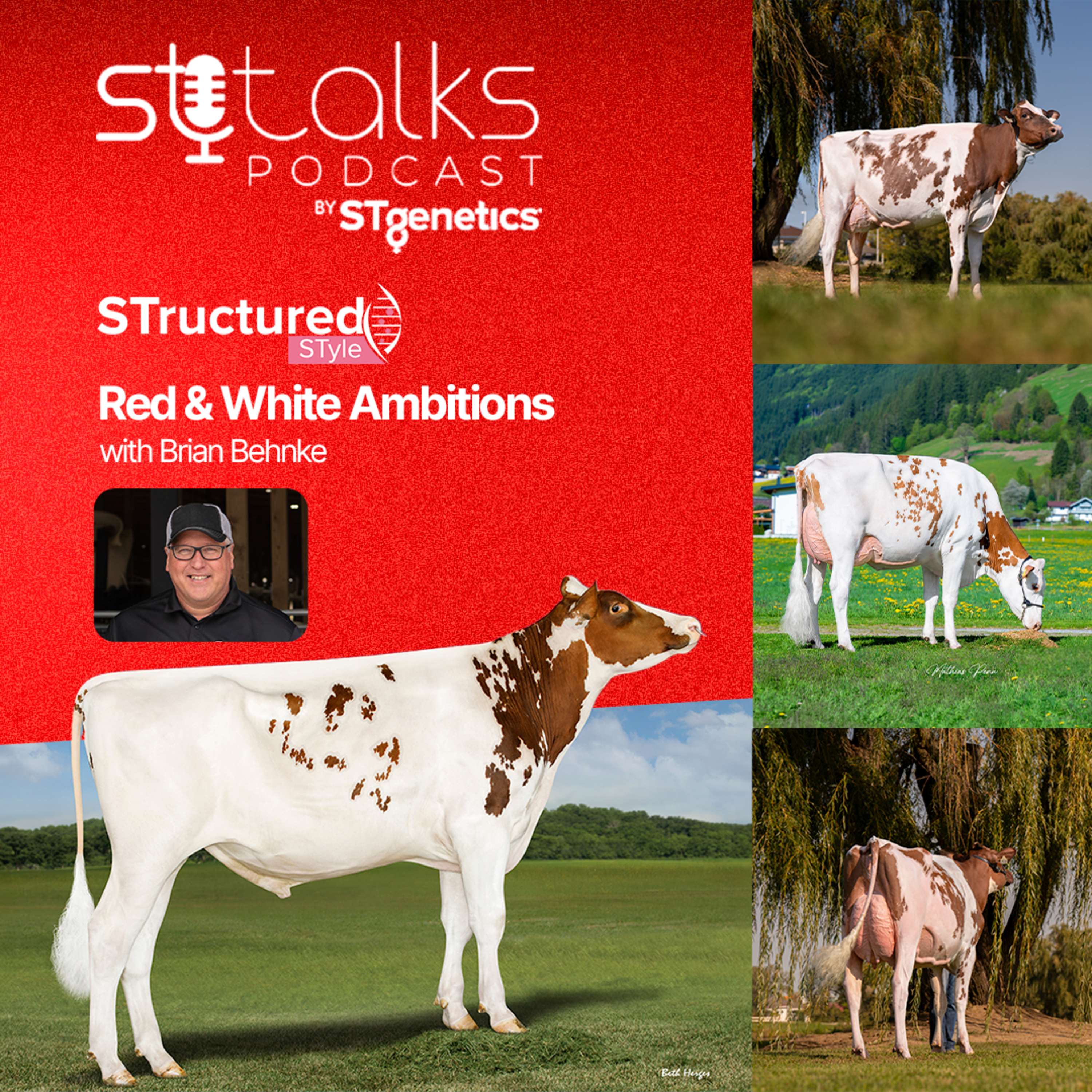 STtalks #399 - STructured™ STyle Red & White Ambitions with Brian Behnke episode artwork