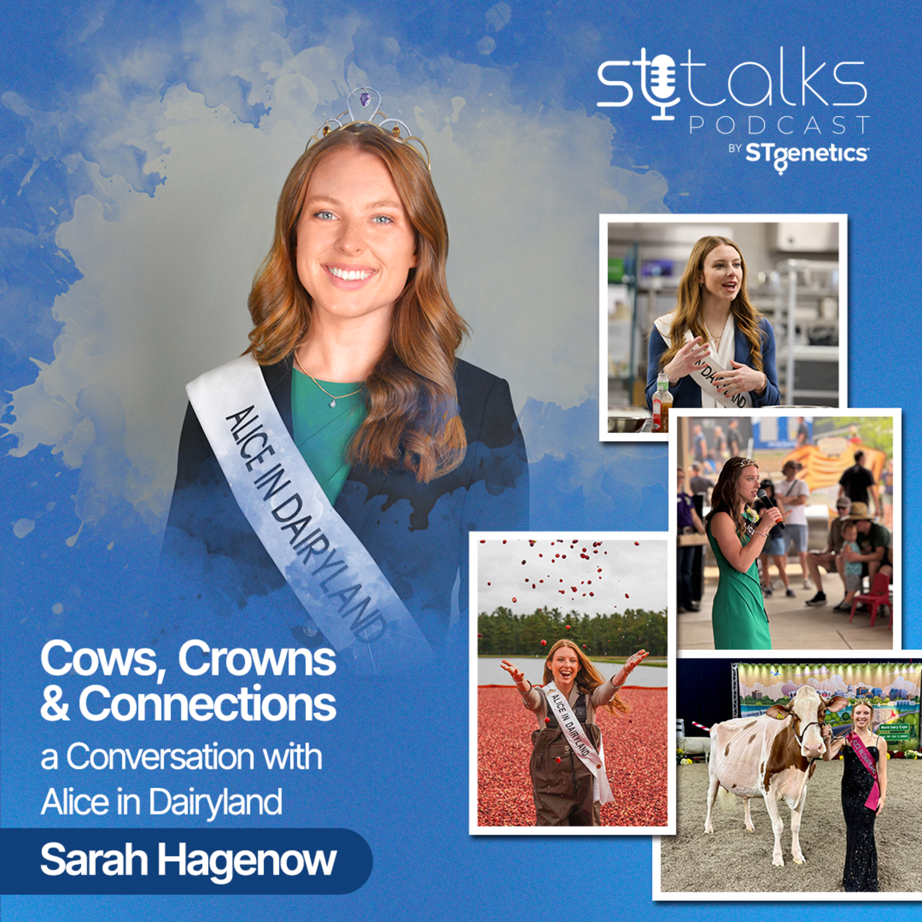 STtalks #401 - Cows, Crowns & Connections: a Conversation with Sarah Hagenow the 78th Alice in Dairyland episode artwork