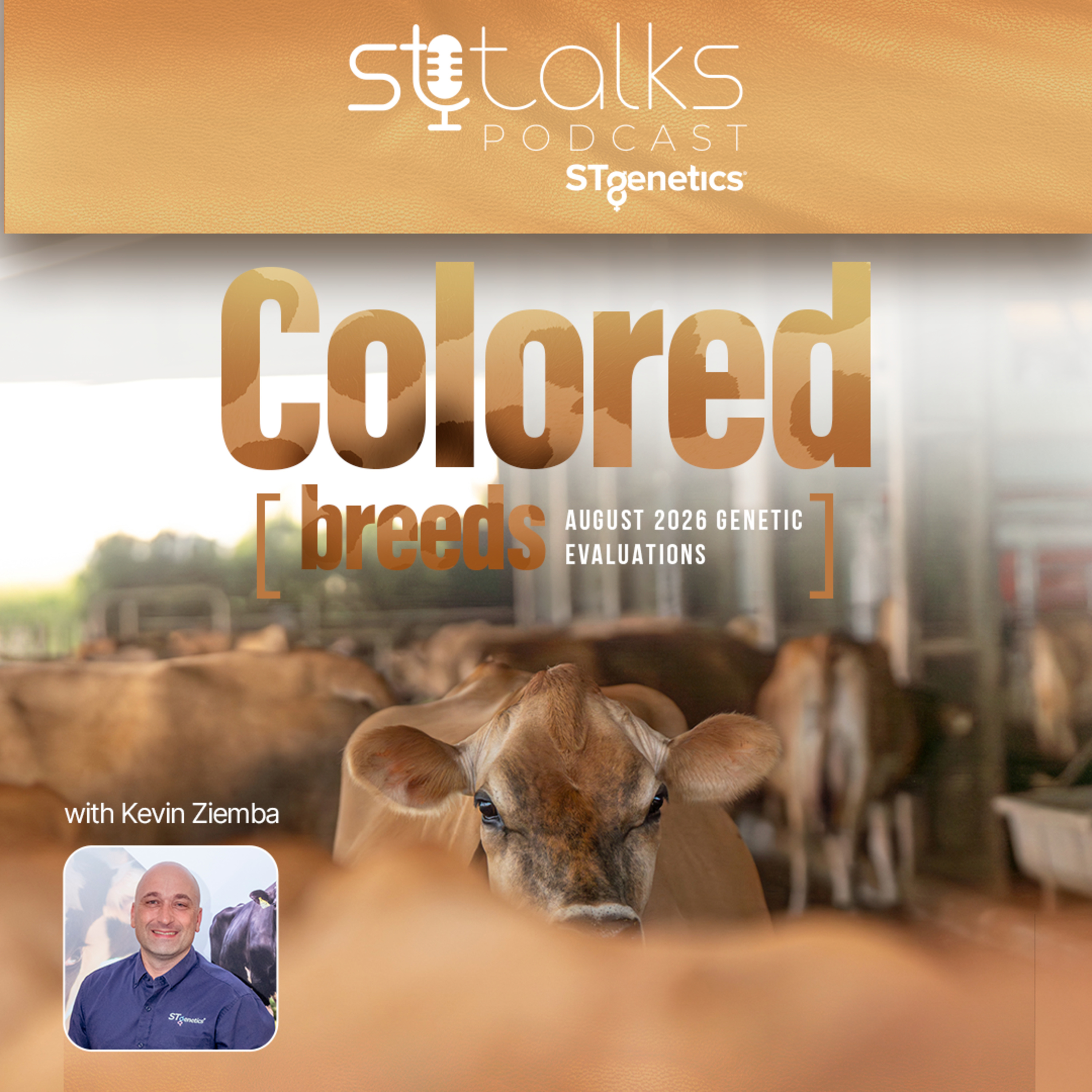 STtalks #406 - Colored Breeds August 2026 Genetic Evaluations with Kevin Ziemba episode artwork