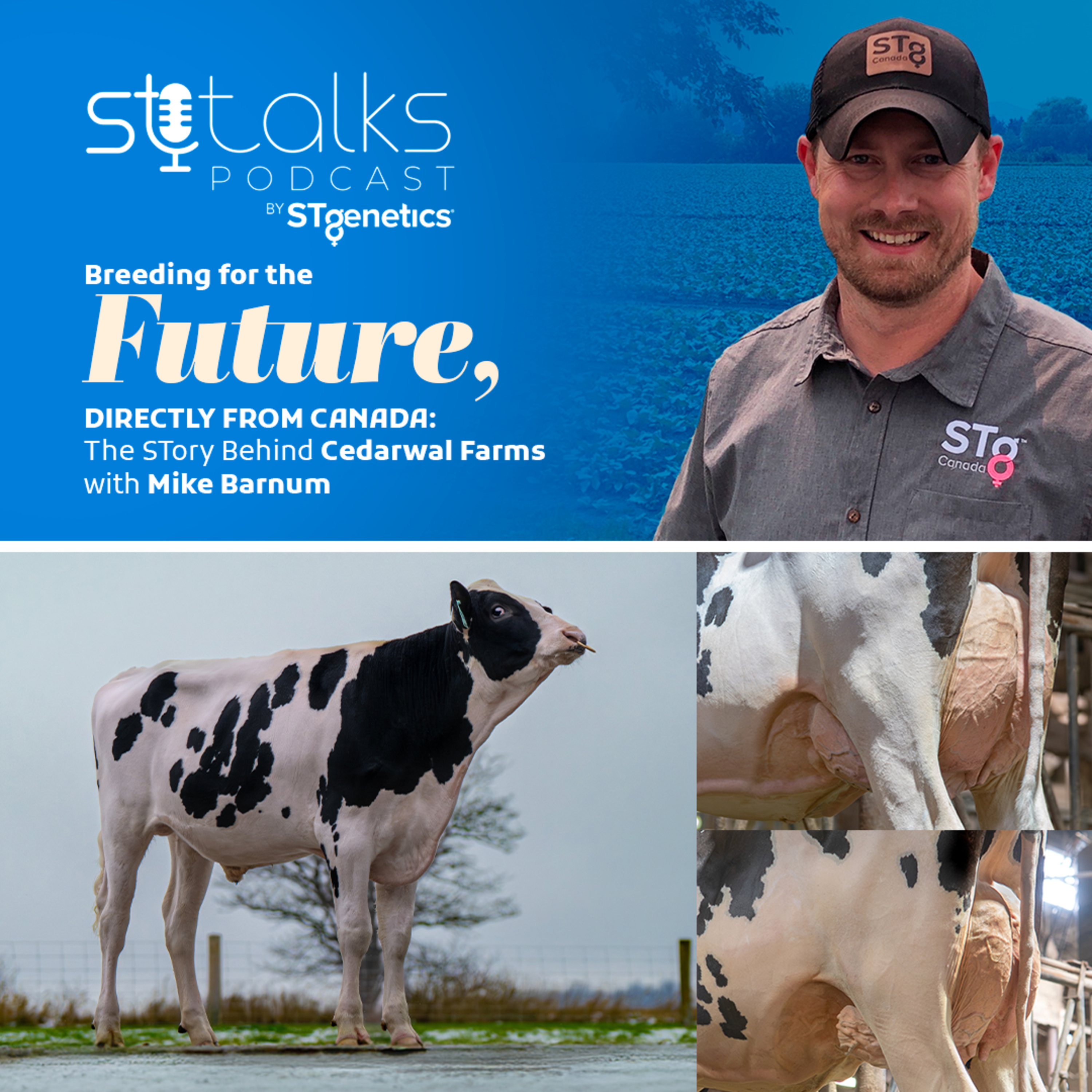 STtalks #429 - Breeding for the Future, Directly from Canada: The STory Behind Cedarwal Farms with Mike Barnum