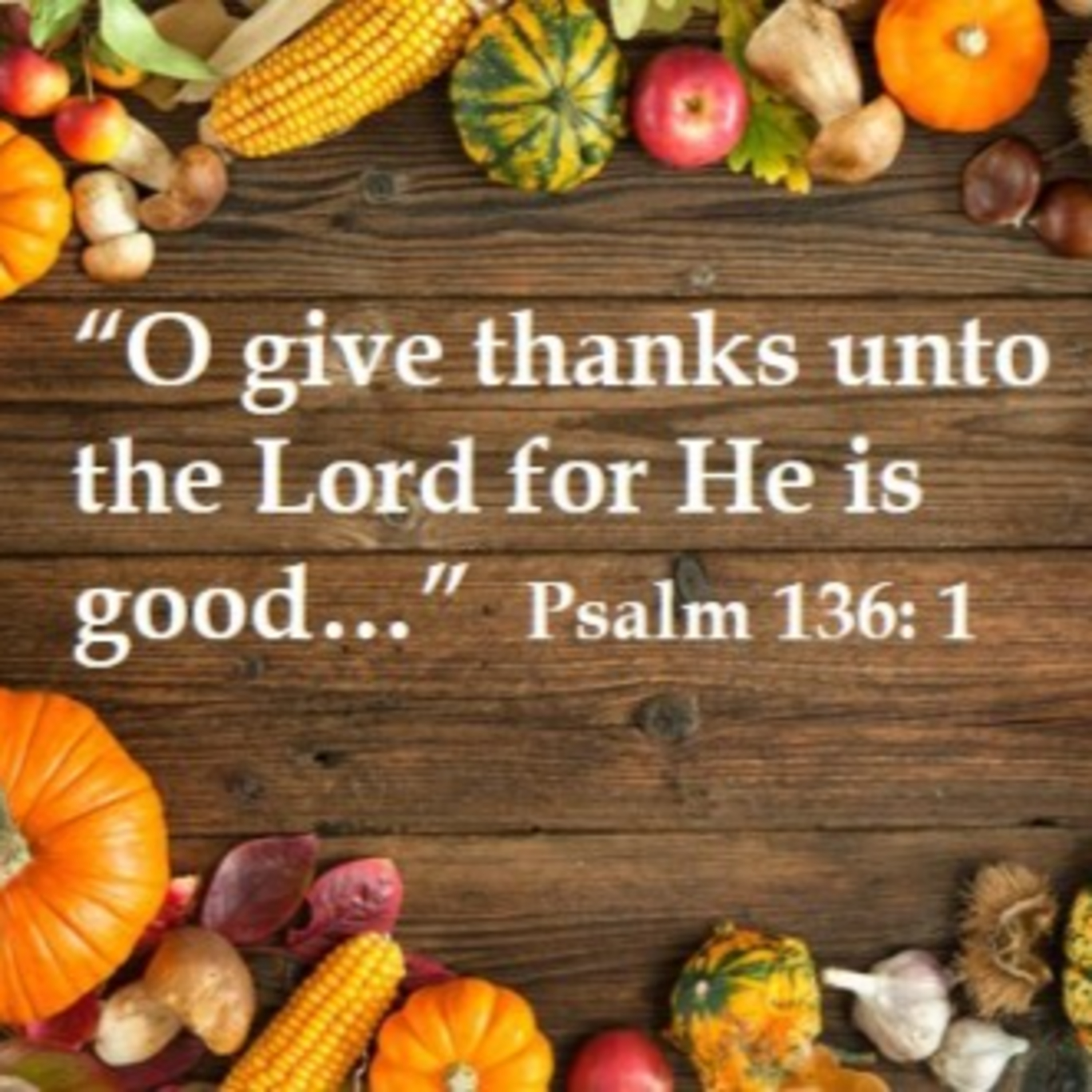 So Much to be Thankful for... episode artwork