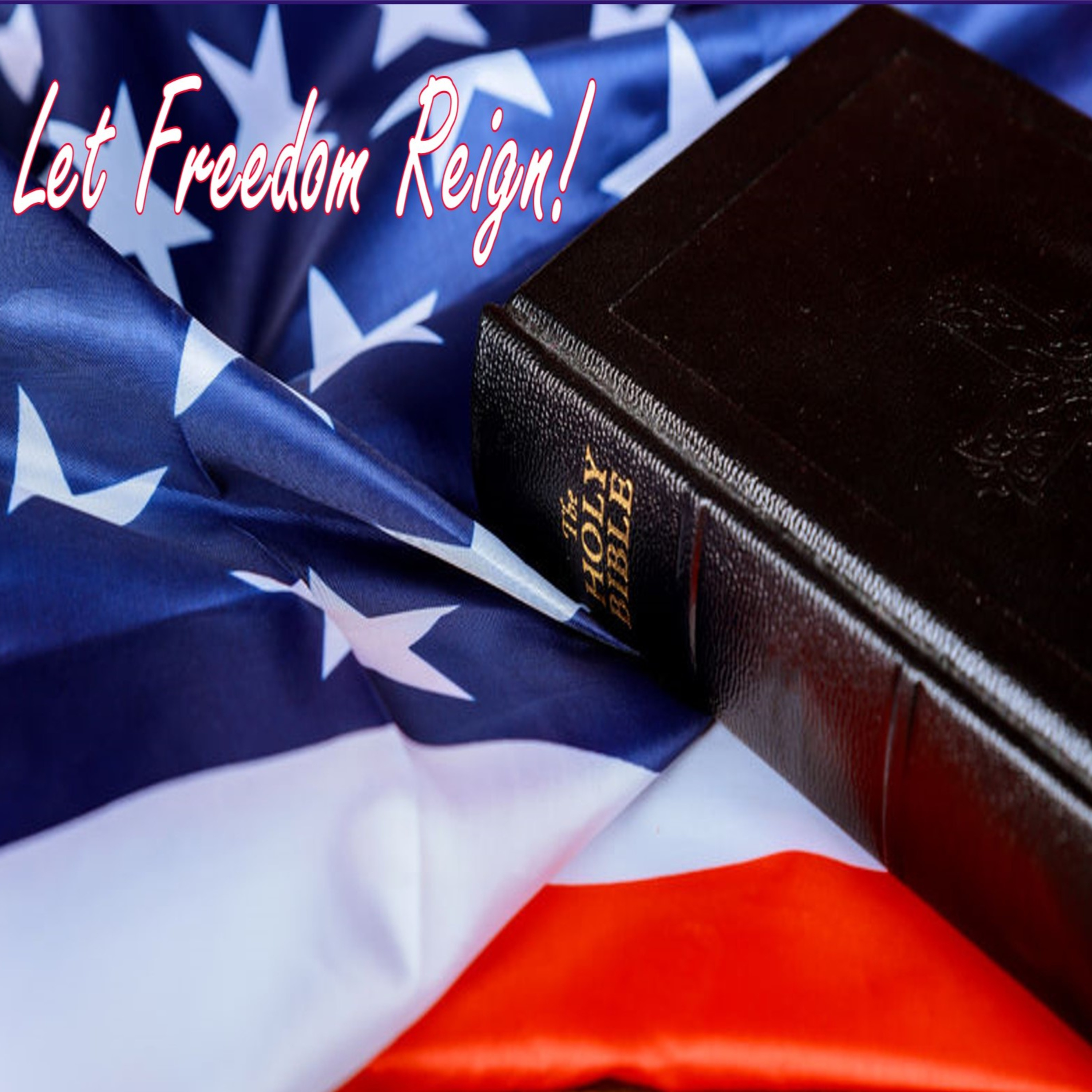 Freedom: People do not realize what they have until they lose it episode artwork