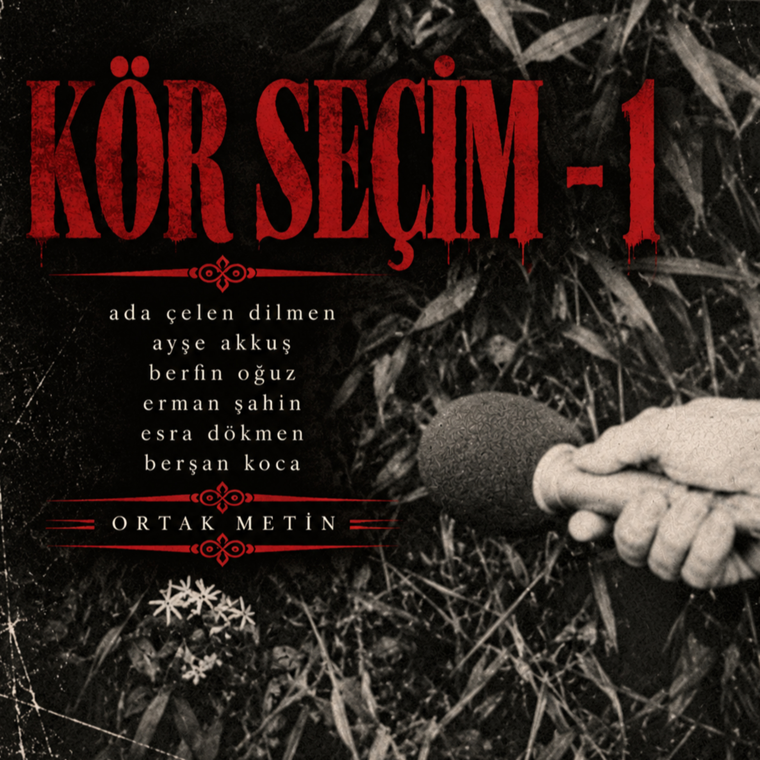kör seçim - 1 episode artwork