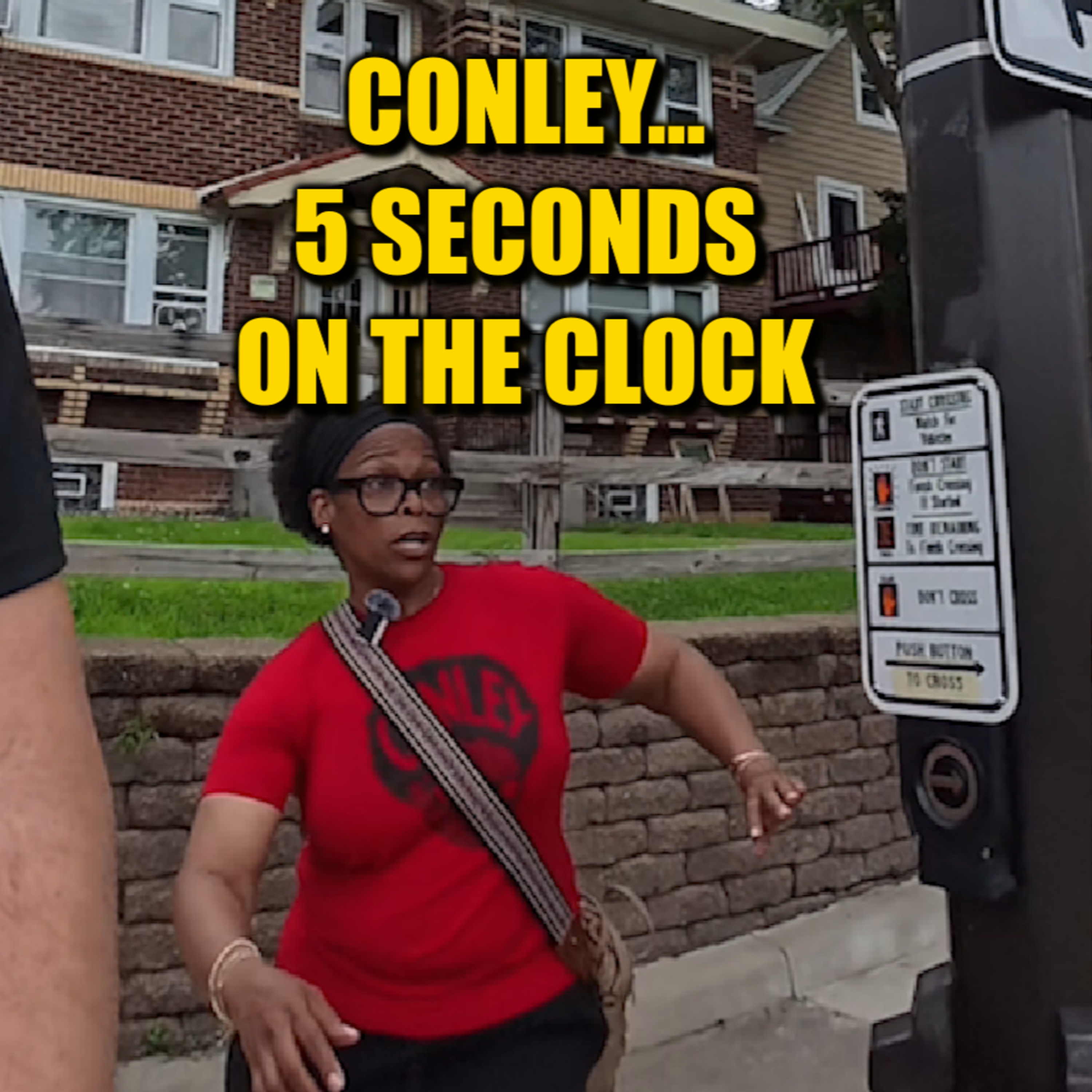 Walking the Bryant neighborhood of Minneapolis w/ Angela Conley episode artwork