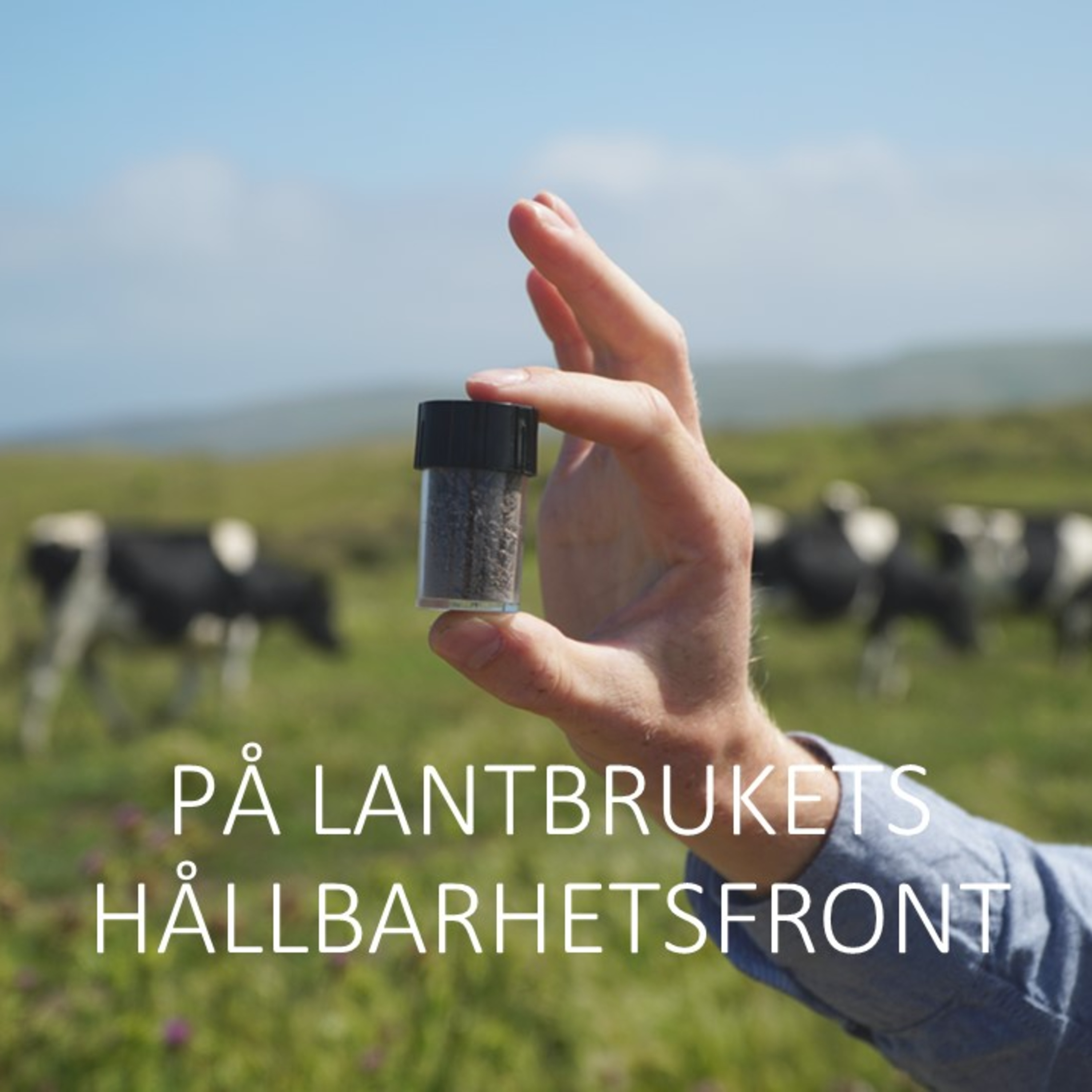 ALGFODER FÖR MINSKADE METANUTSLÄPP - LÖSNINGEN VI VÄNTAT PÅ?