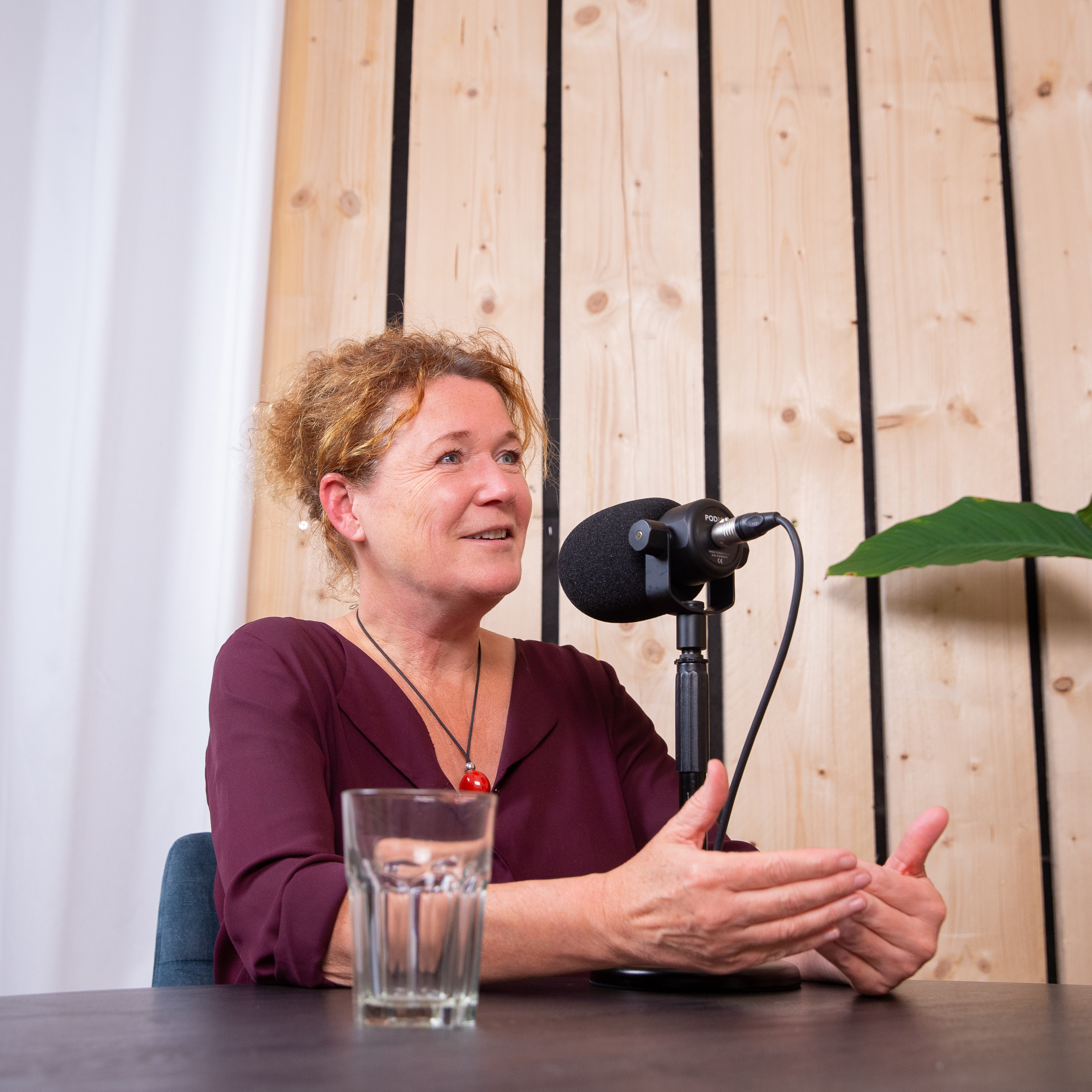 Ien, de podcast