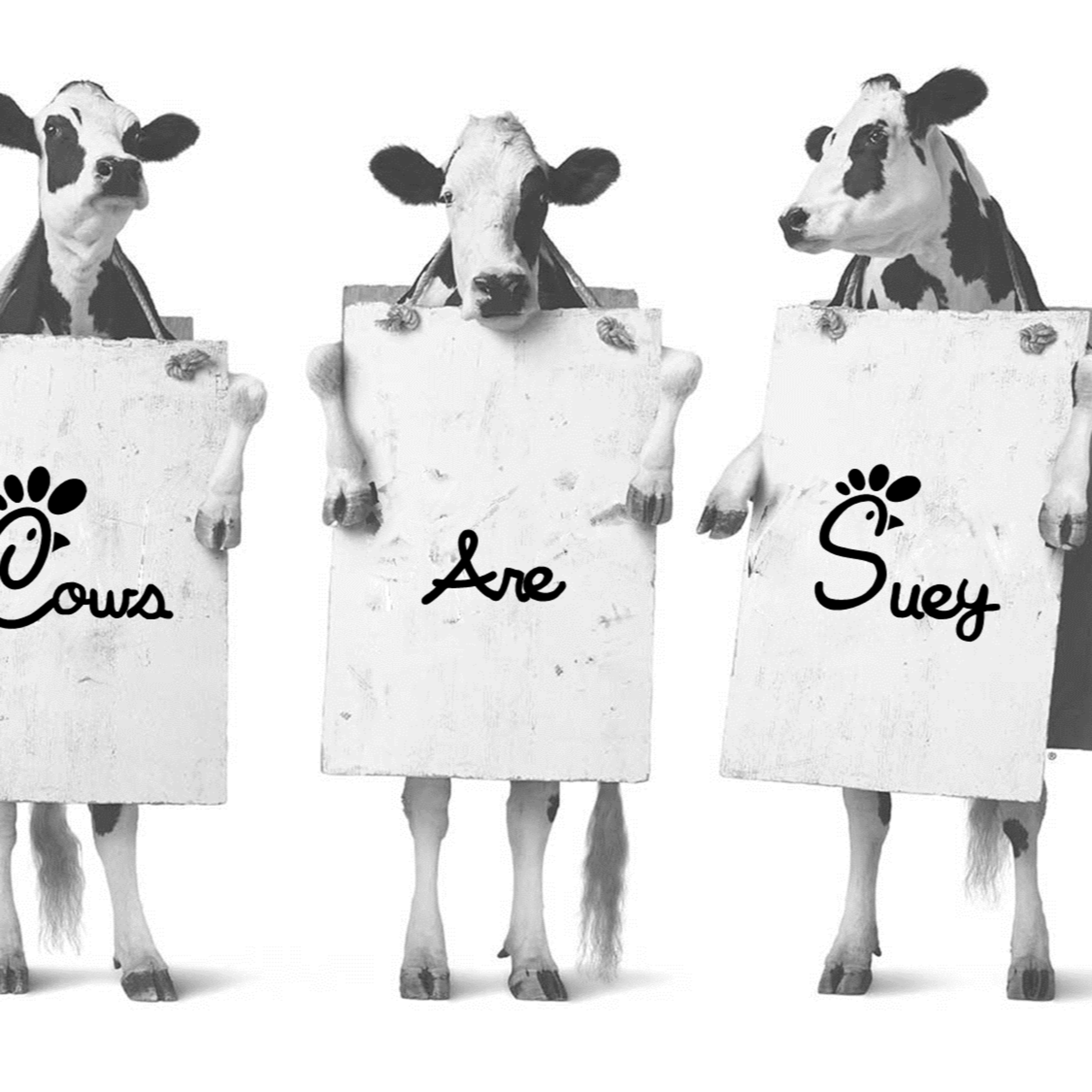 Cows Are Suey episode artwork
