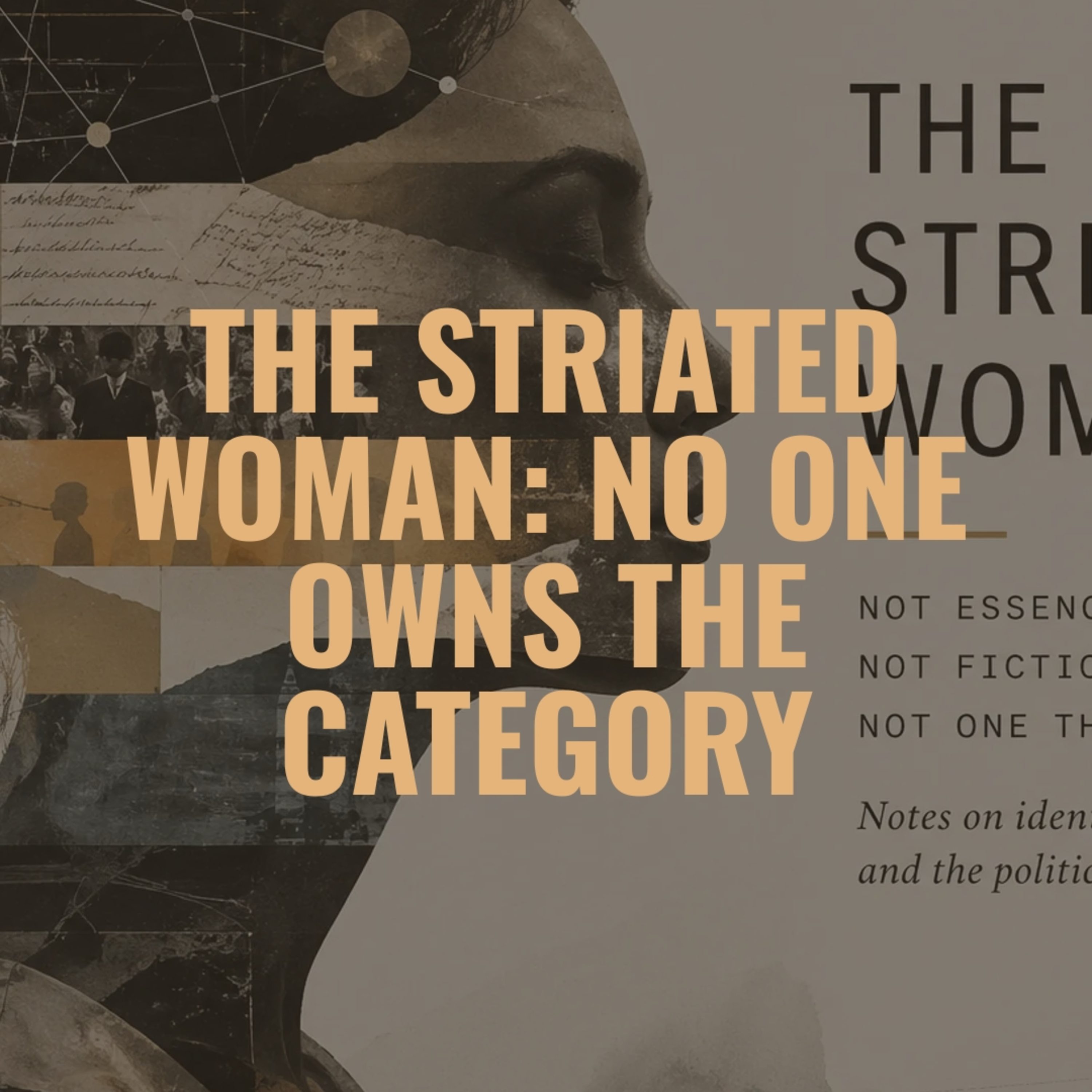 The Striated Woman: A Map of Identity and Perception episode artwork