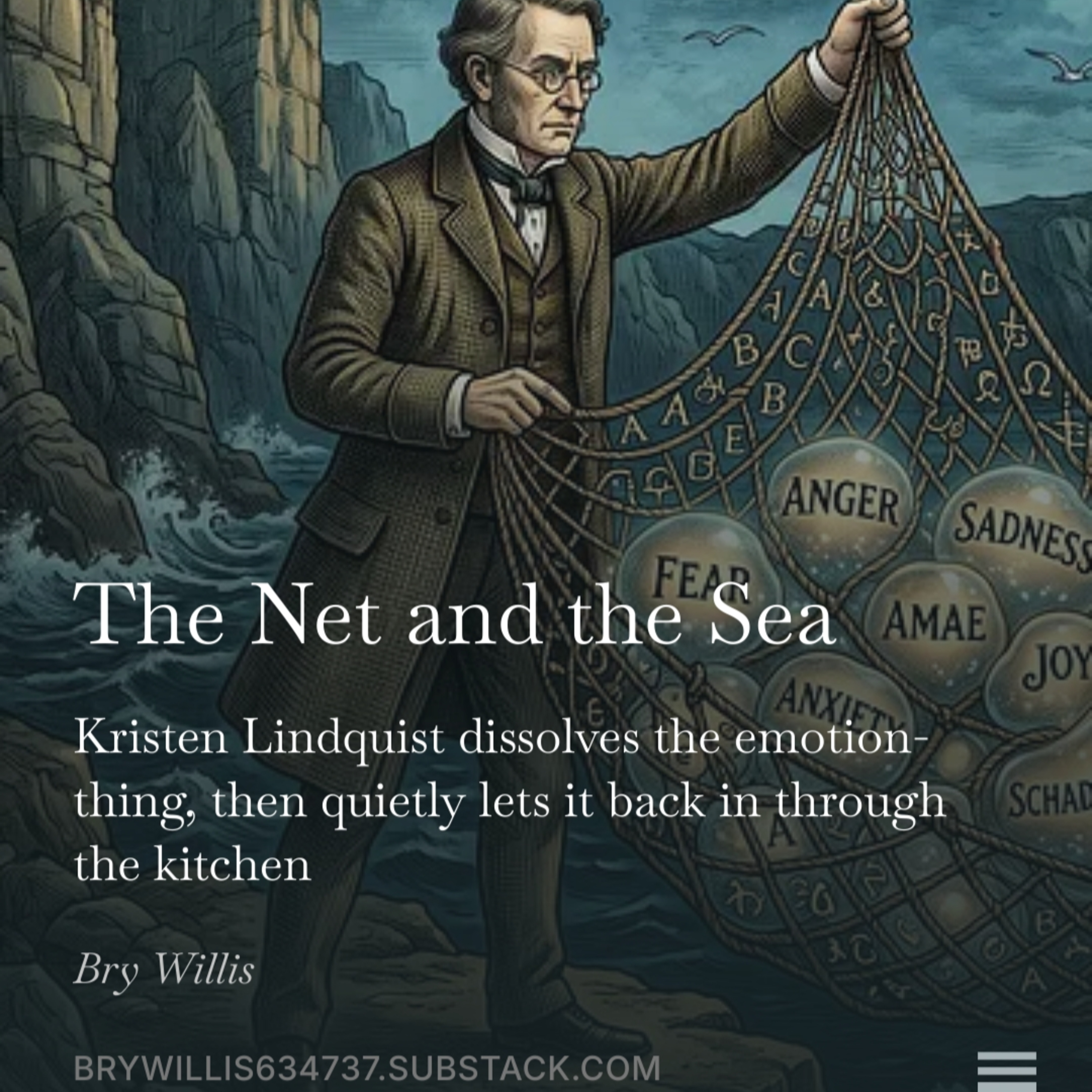 Nets and Seas: The Limits of Linguistic Emotion Construction episode artwork