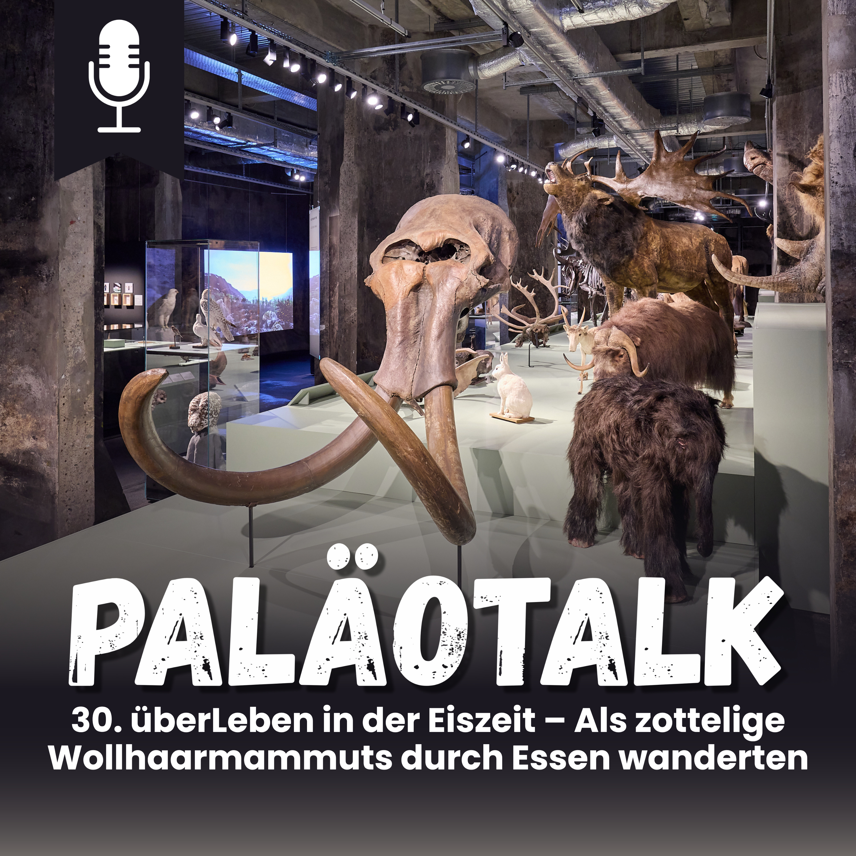 30. überLeben in der Eiszeit – Als zottelige Wollhaarmammuts durch Essen wanderten episode artwork
