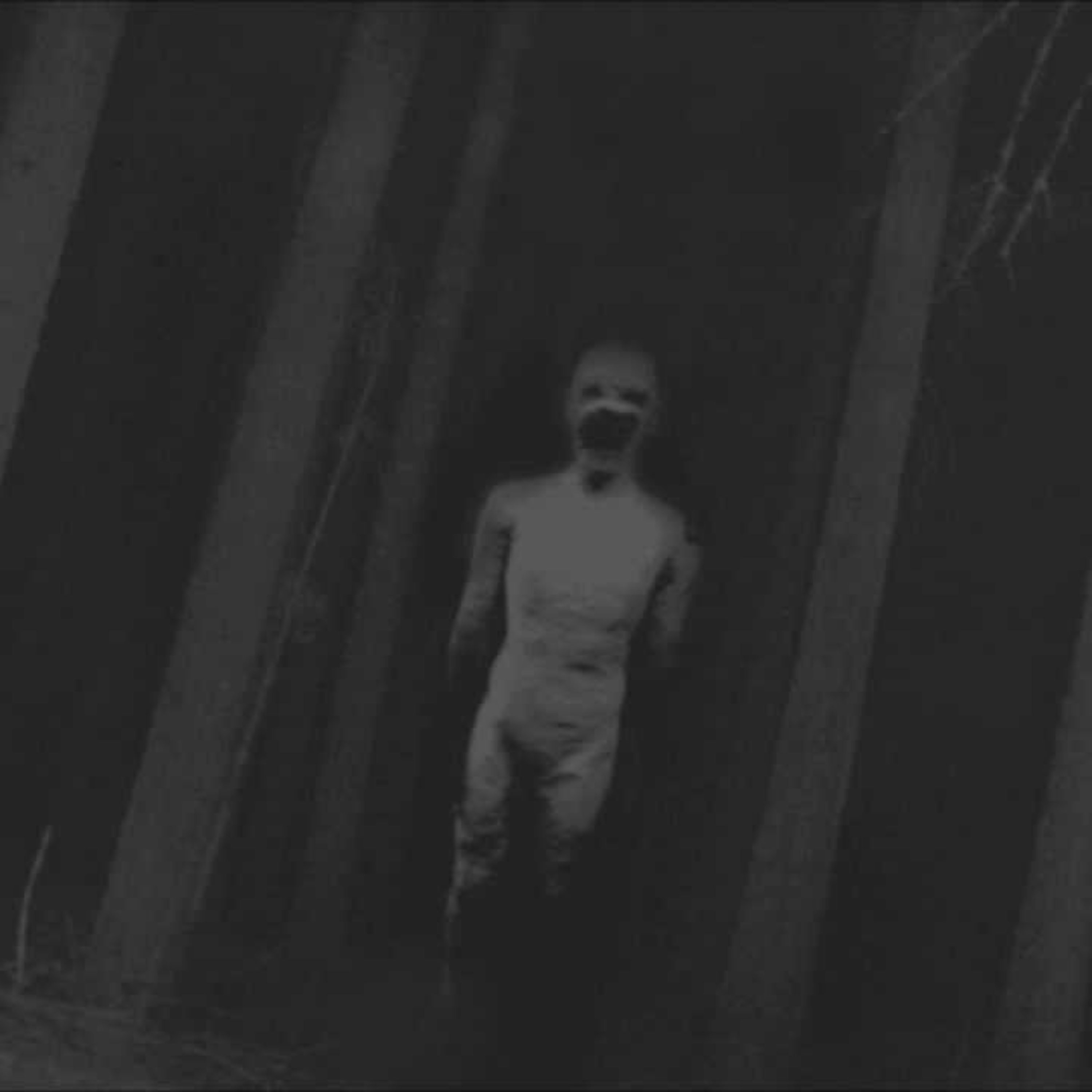 Creepypastas de Media Noche