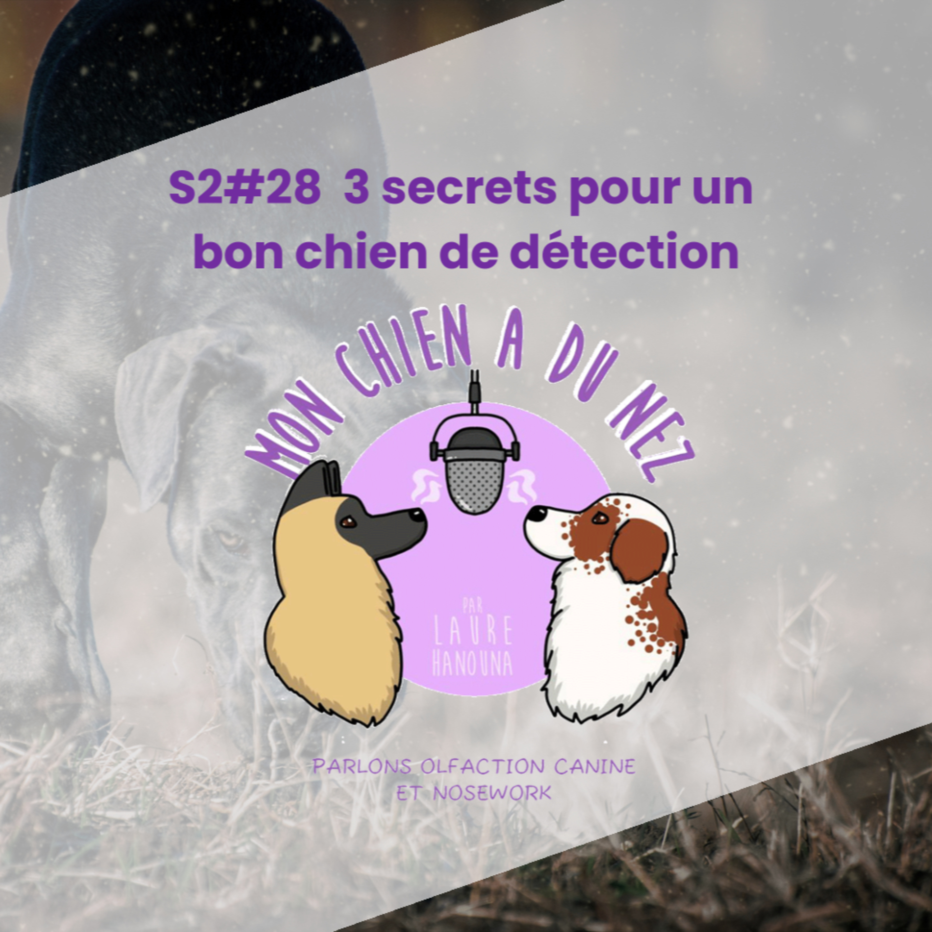 Mon chien a du nez!