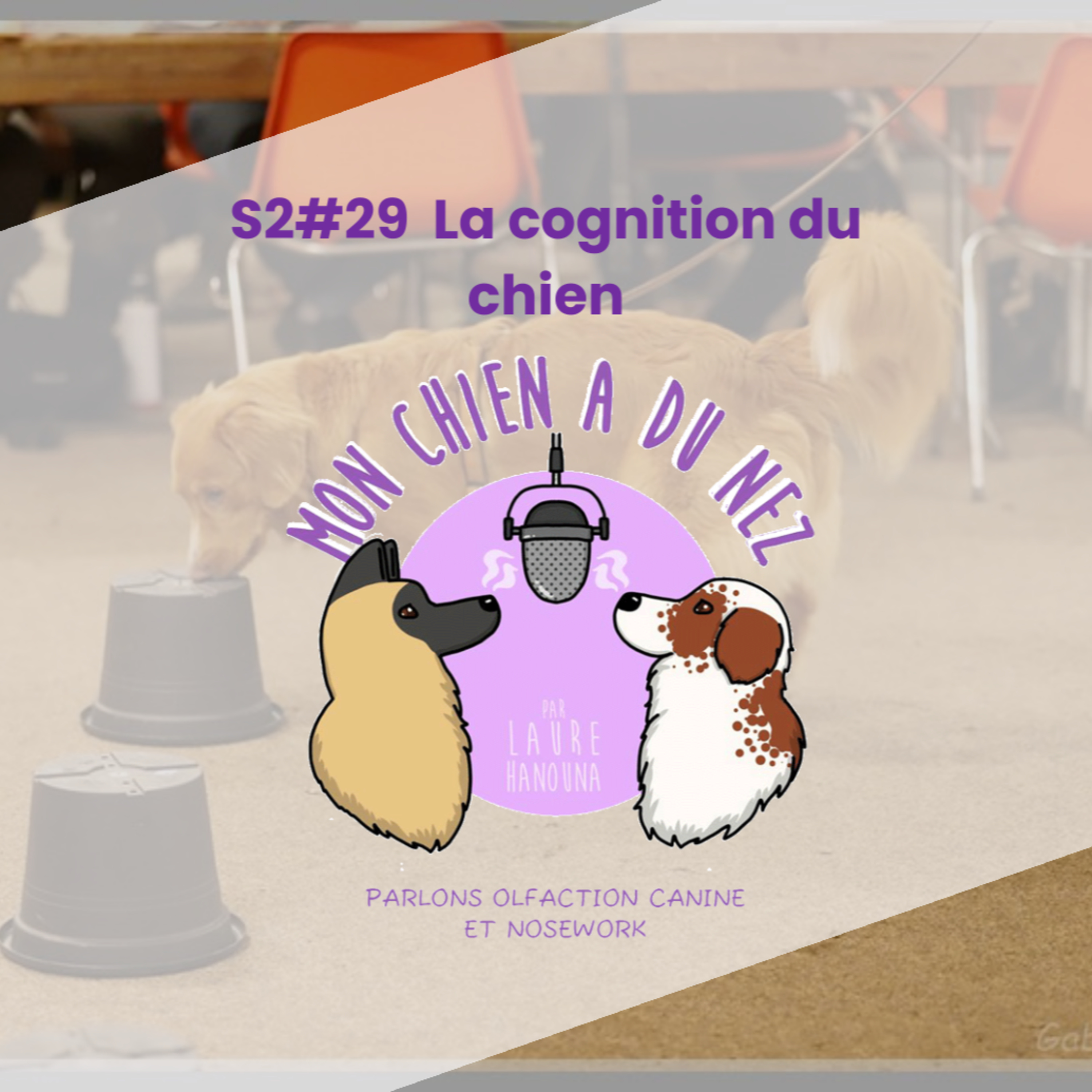 Mon chien a du nez!