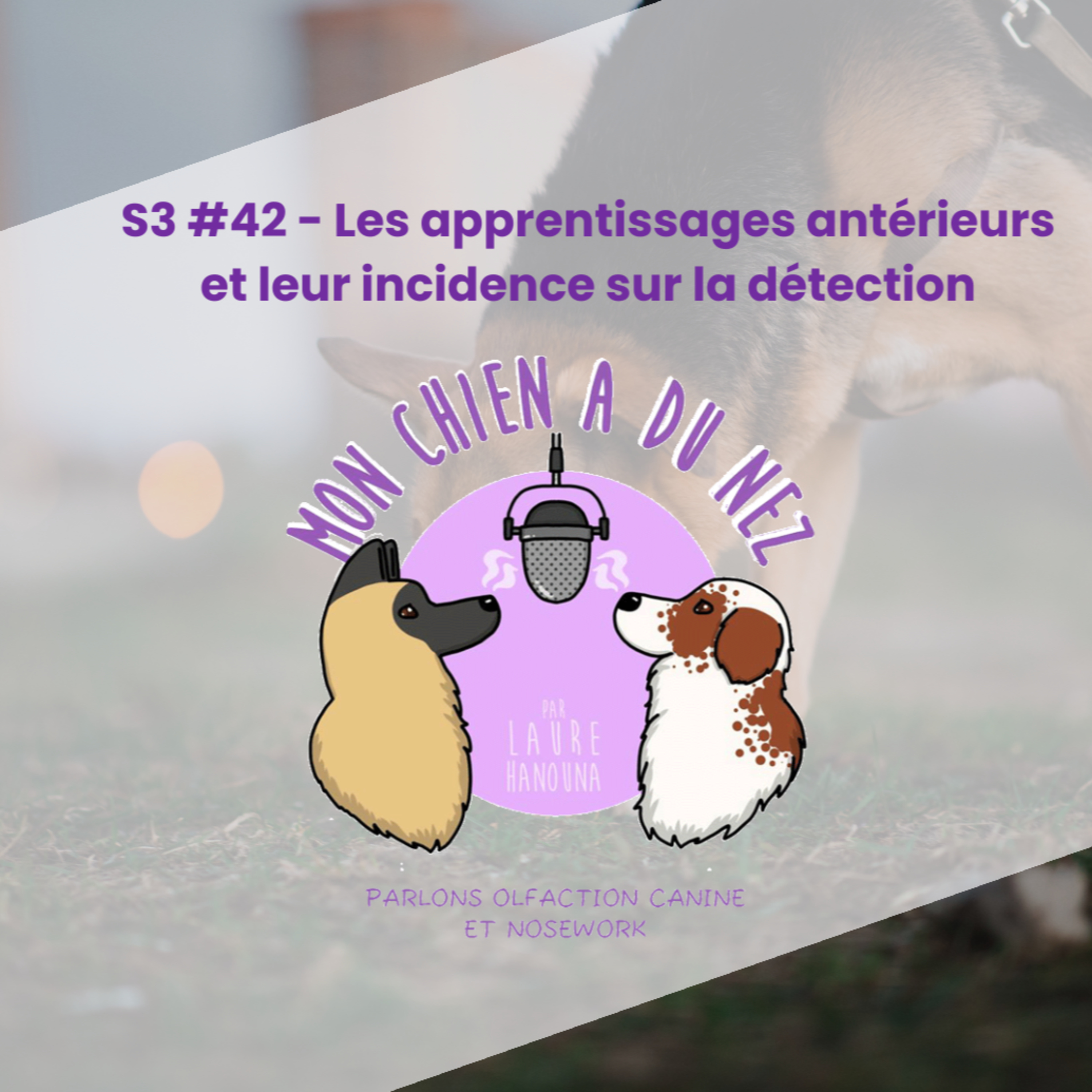 Mon chien a du nez!