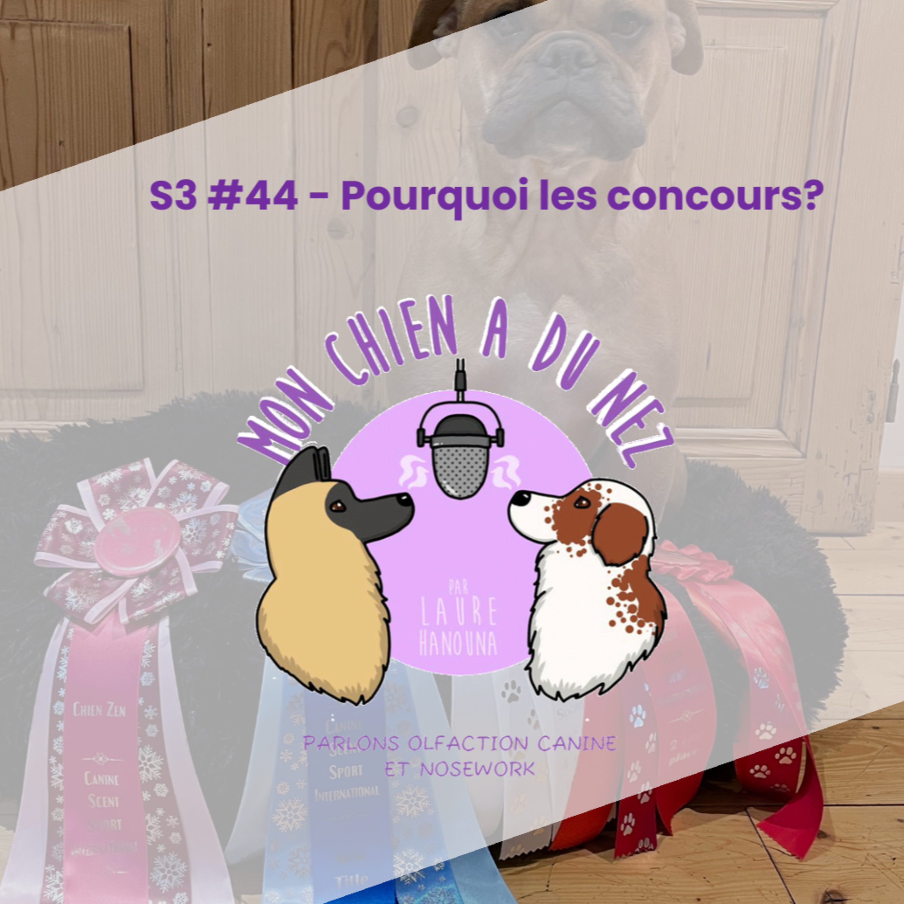 Mon chien a du nez!