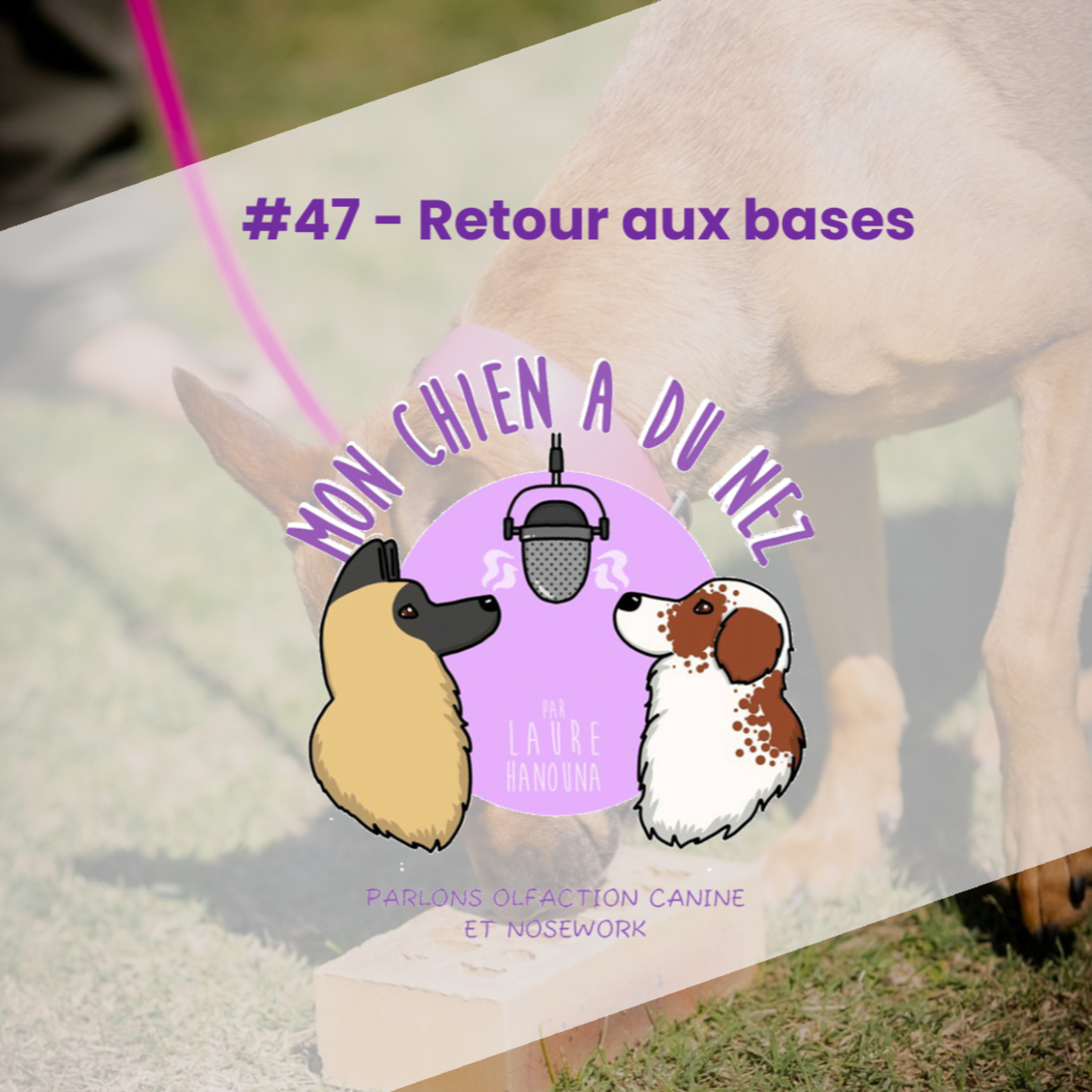 Mon chien a du nez!
