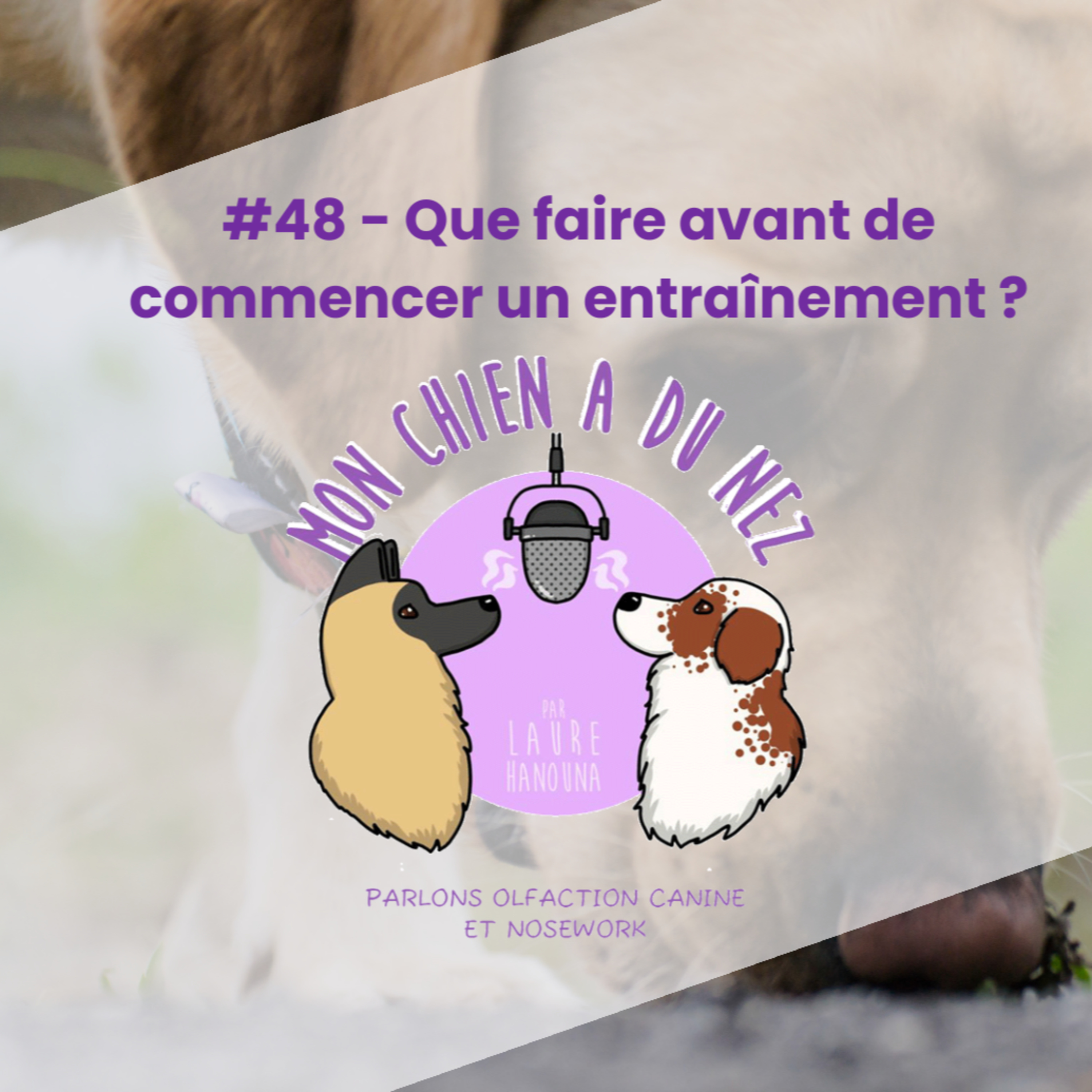 Mon chien a du nez!