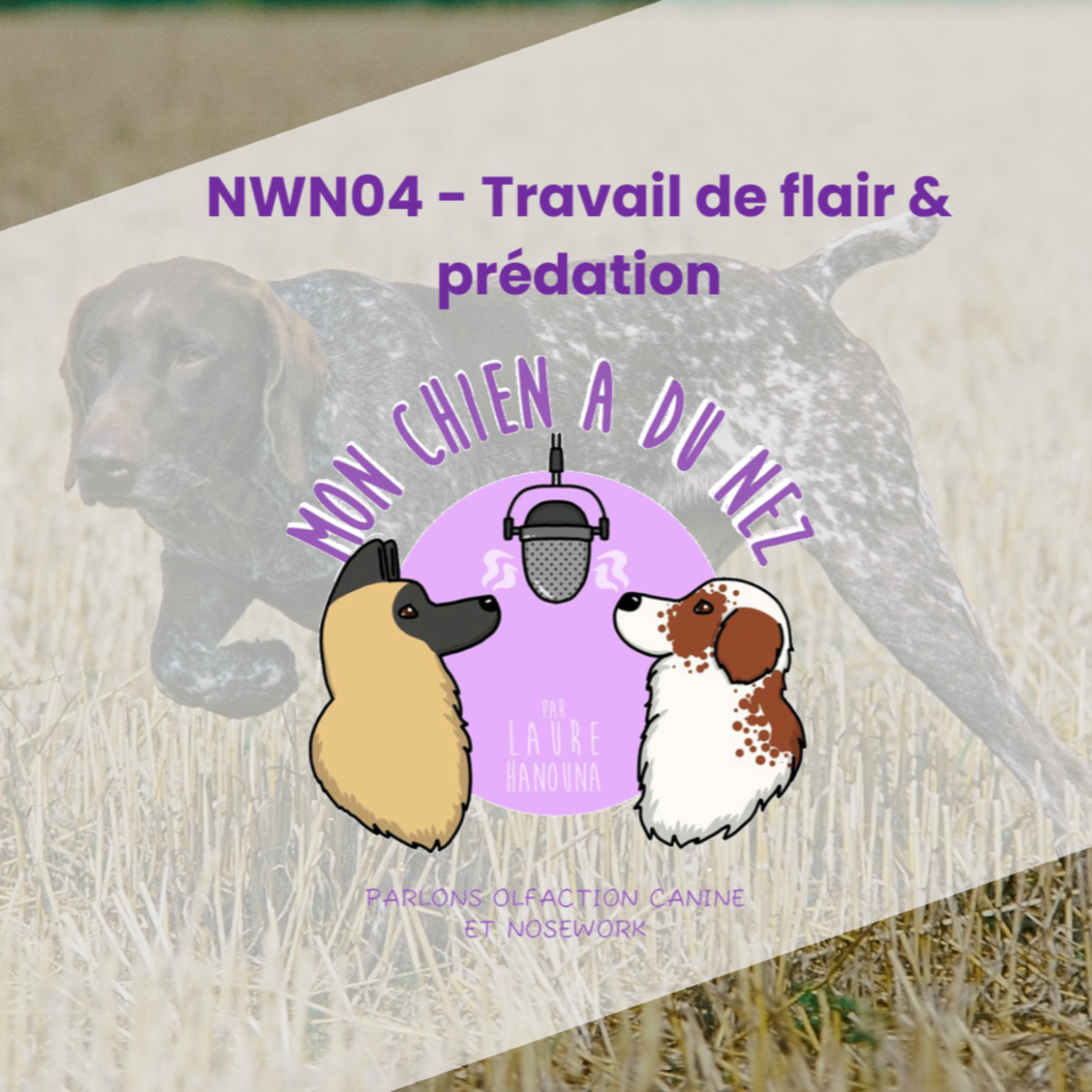 Mon chien a du nez!