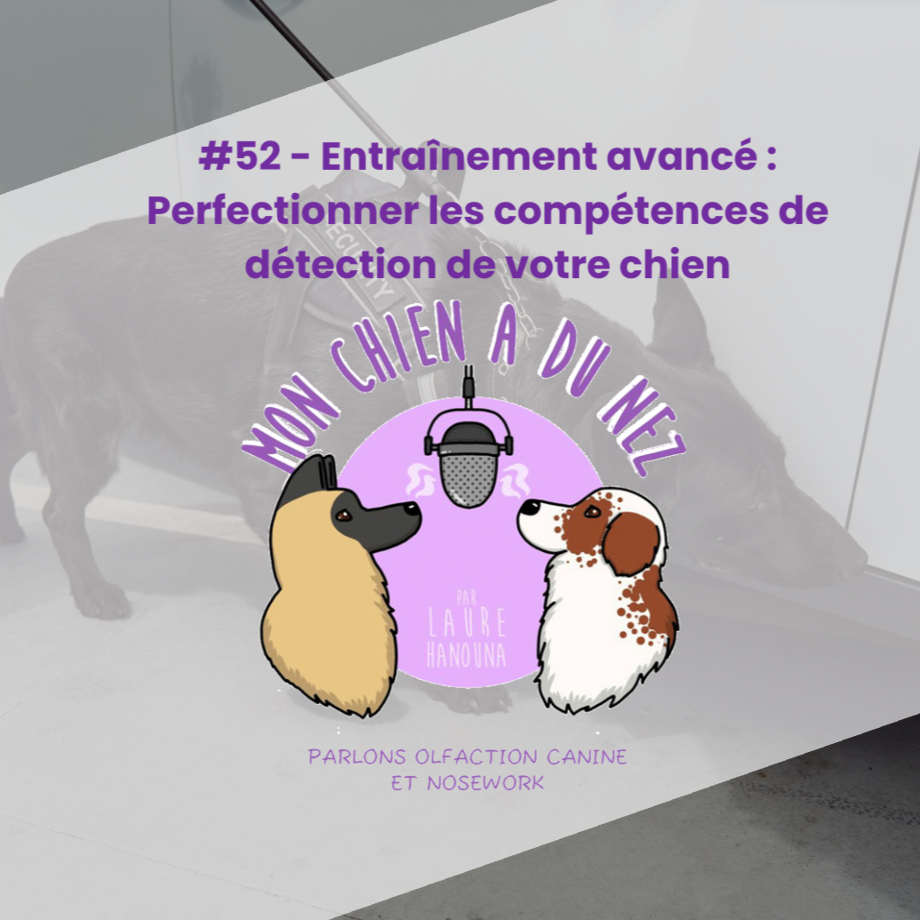 Mon chien a du nez!