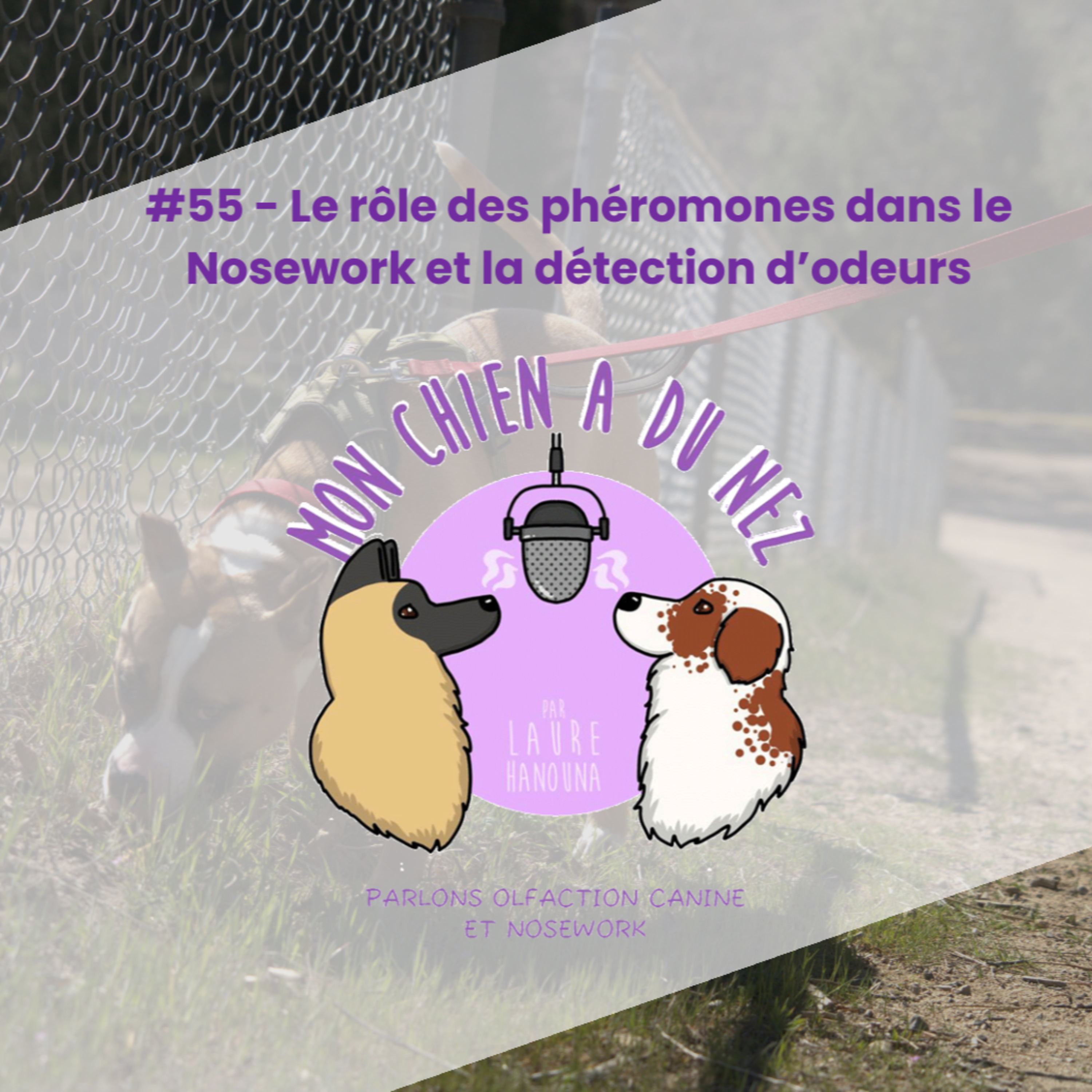 Mon chien a du nez!