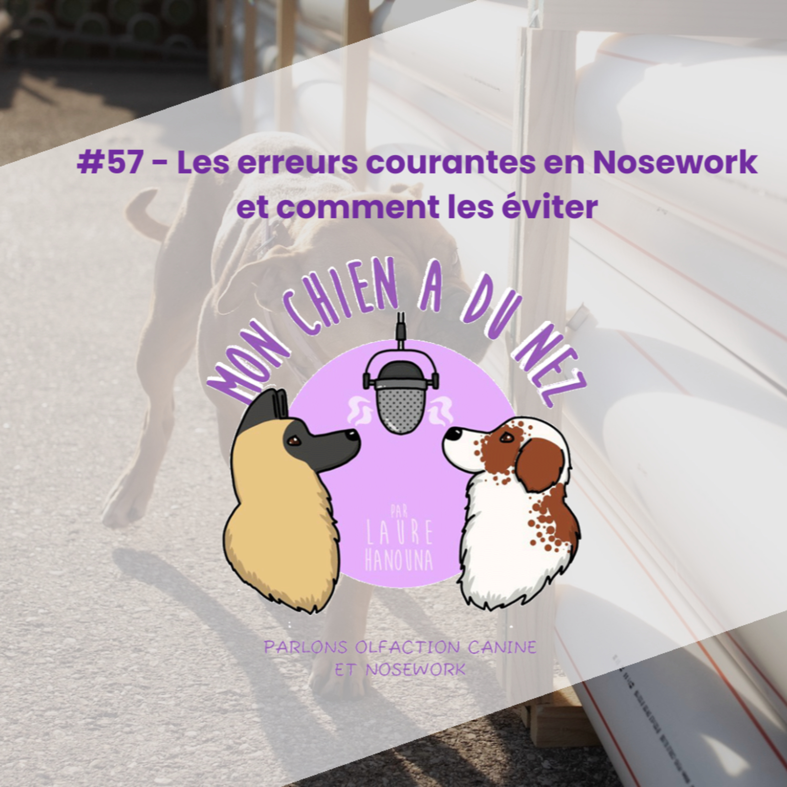 Mon chien a du nez!